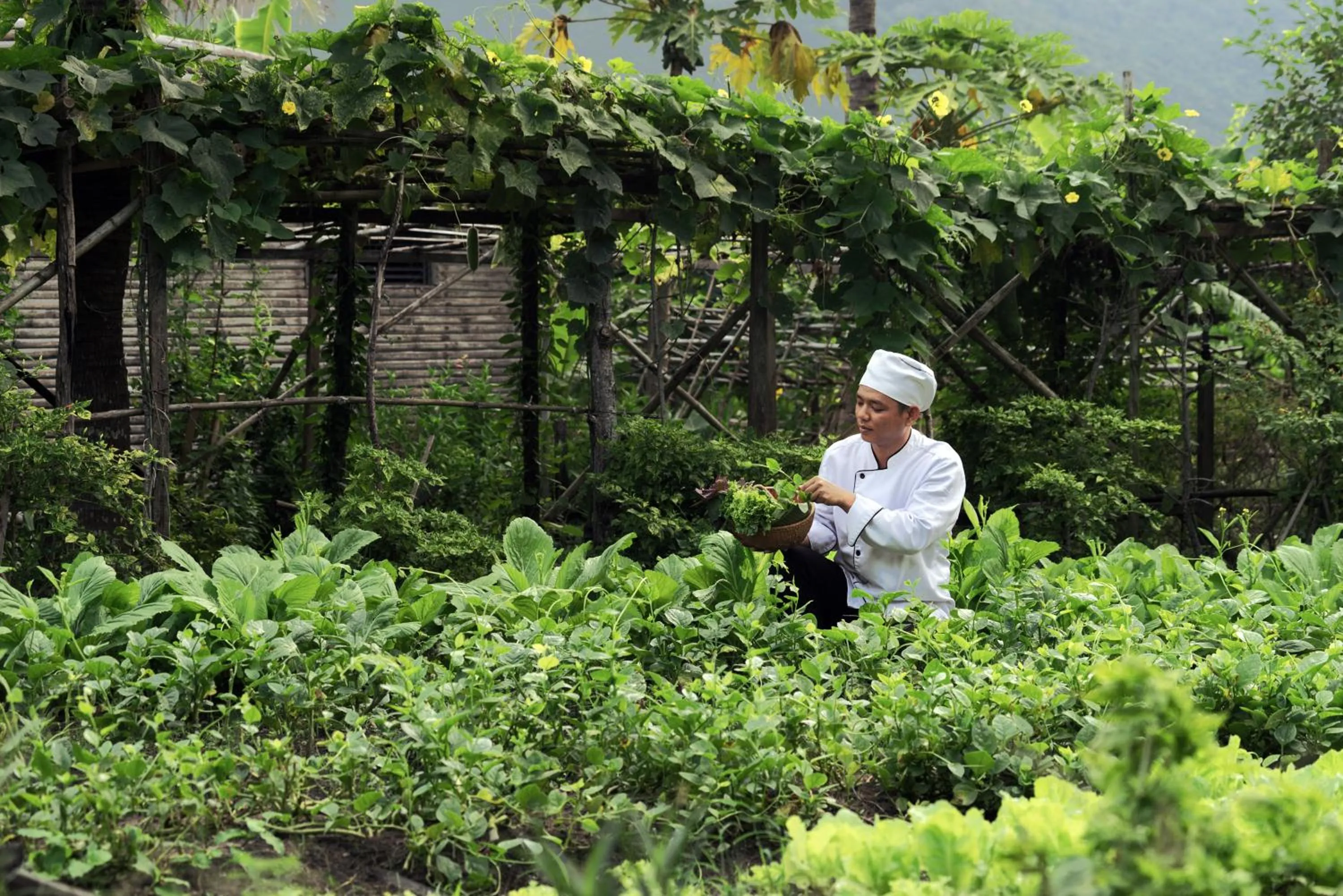 Garden in Six Senses Con Dao - Turtle Island Paradise
