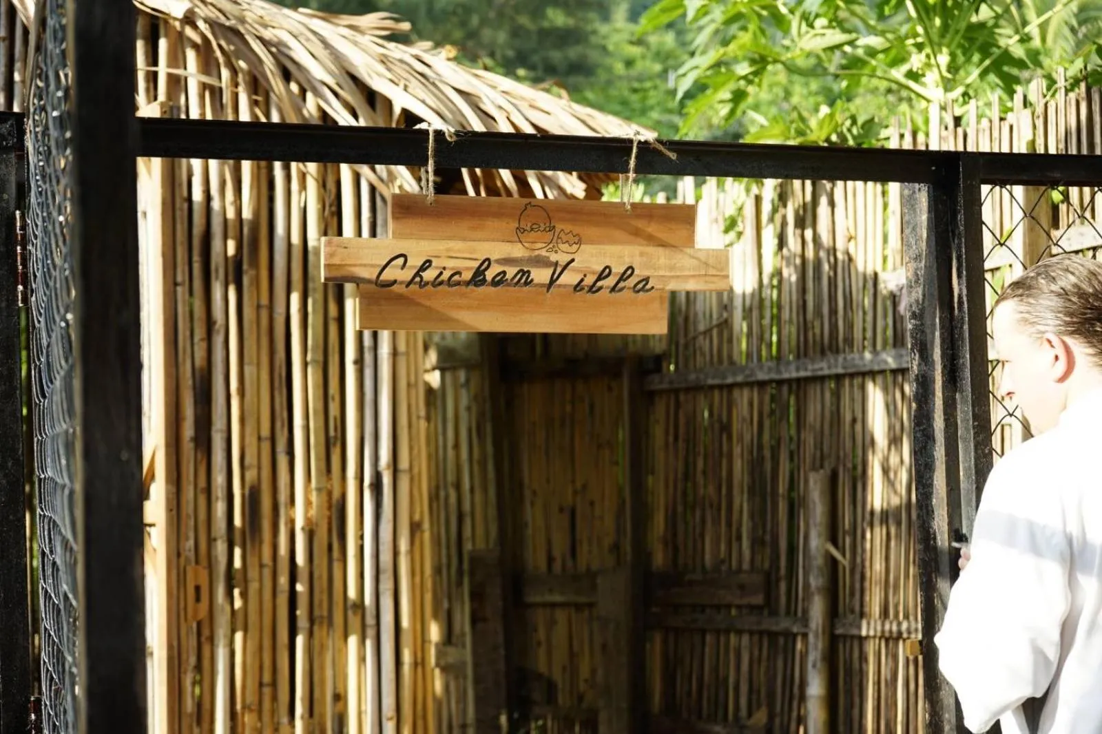 Activities in Six Senses Con Dao - Turtle Island Paradise