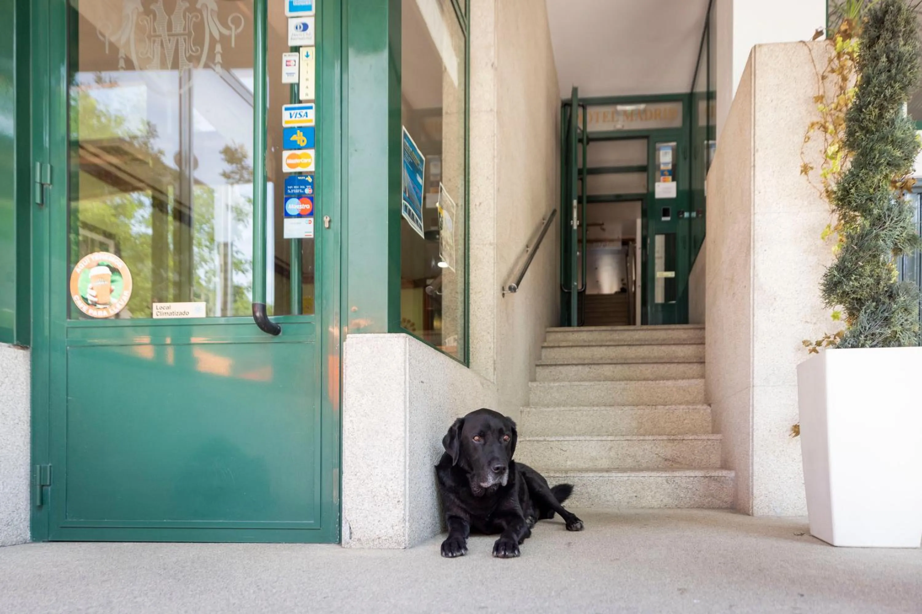 Lobby or reception in Hotel Madrid