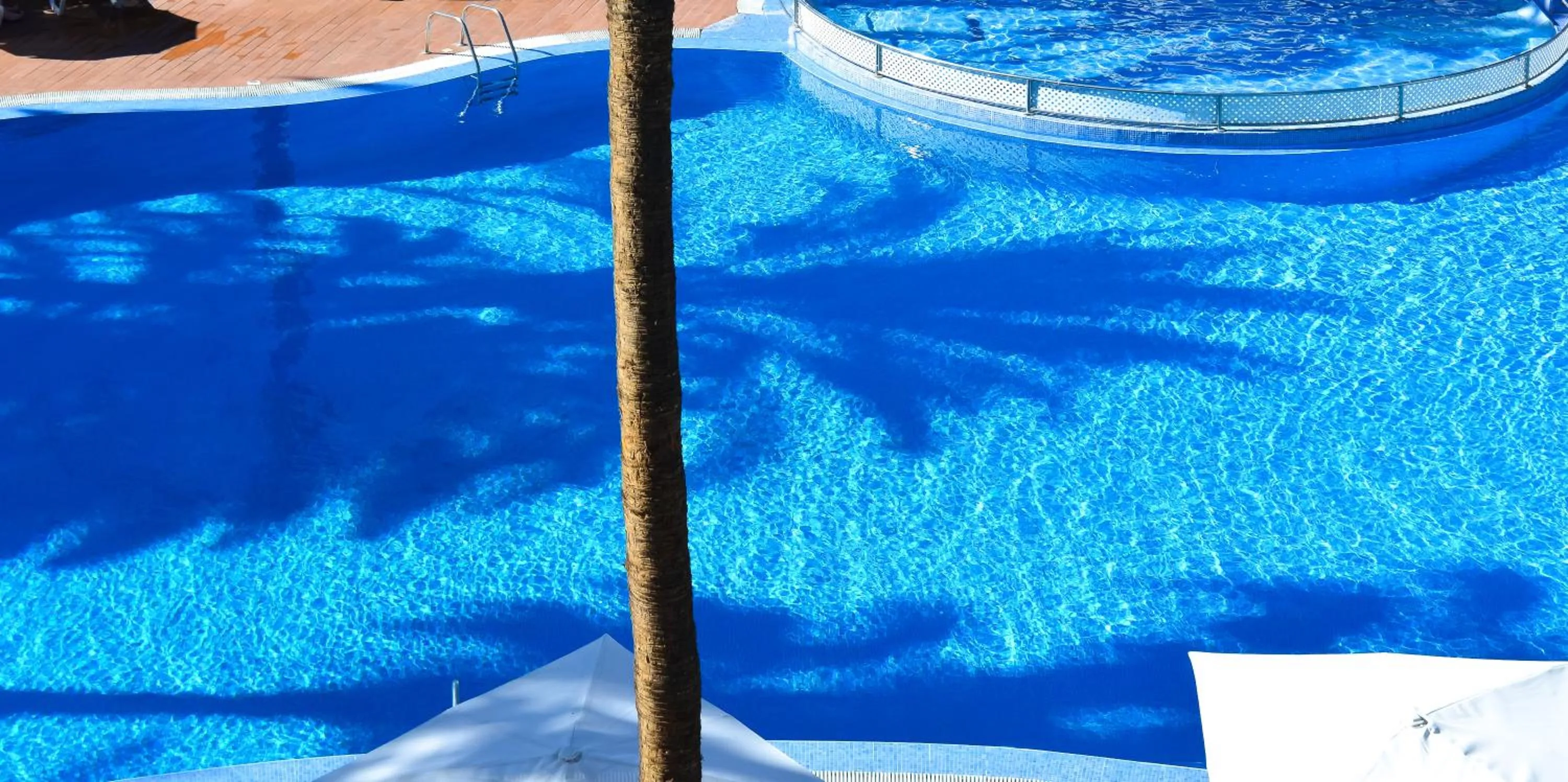 Swimming pool in Playa Del Sol - Adults Only