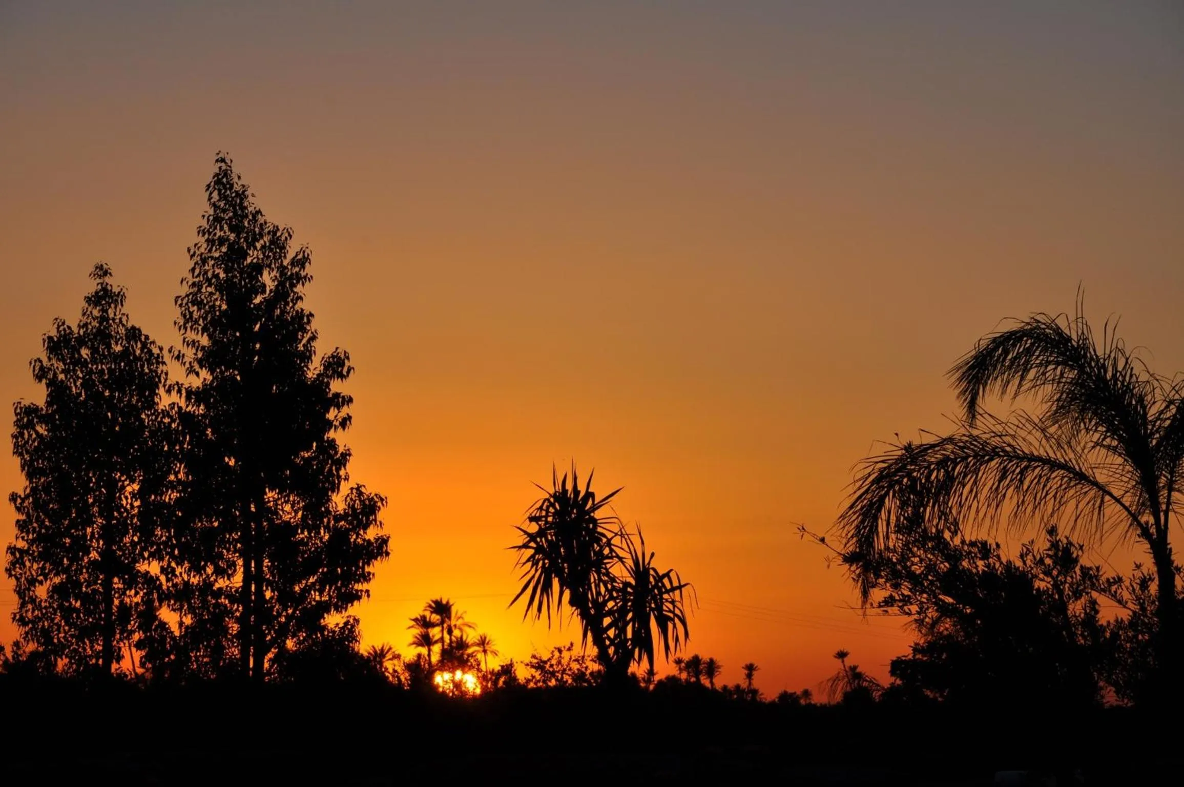 Garden view in Jnane Allia
