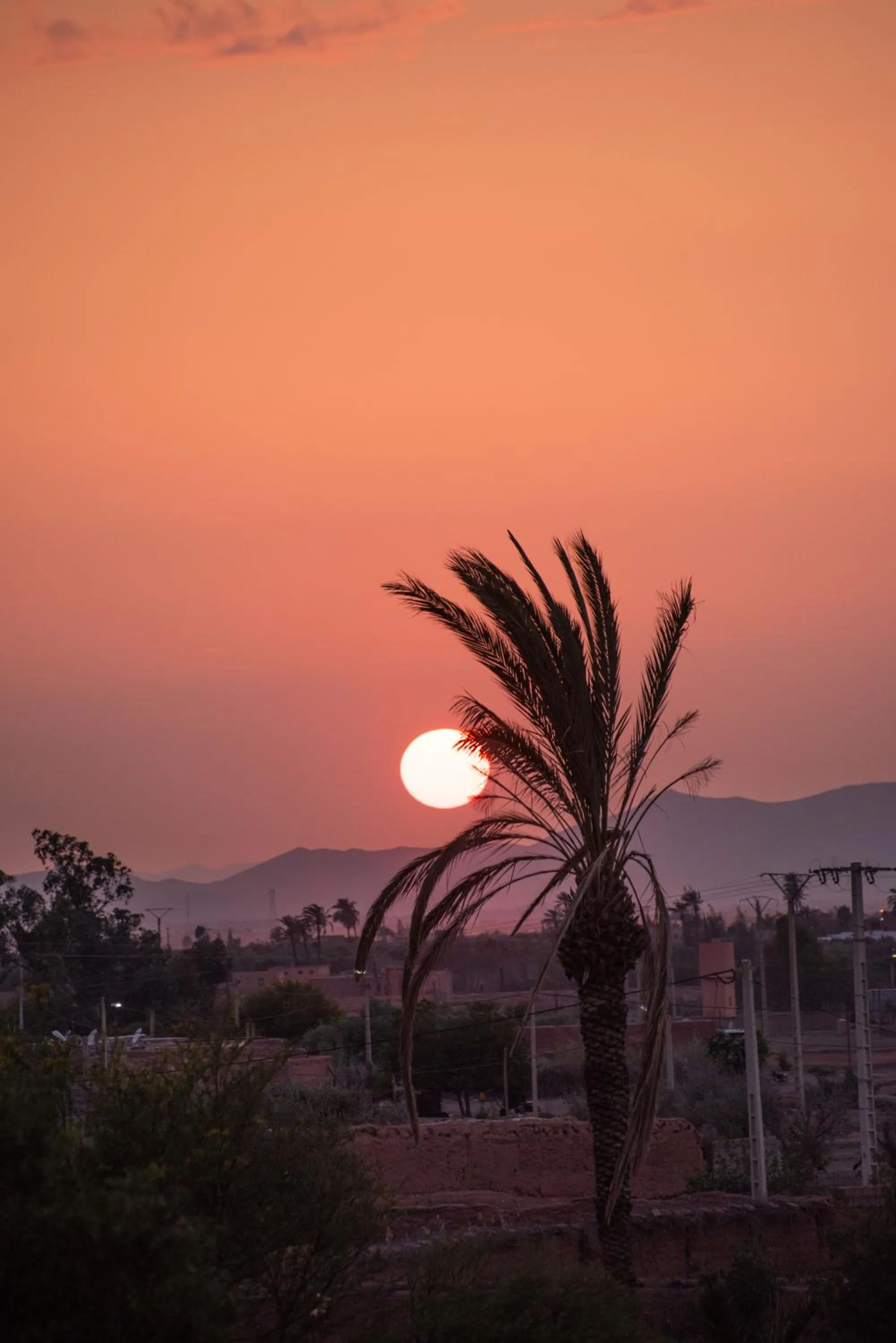 Natural landscape in Jnane Allia