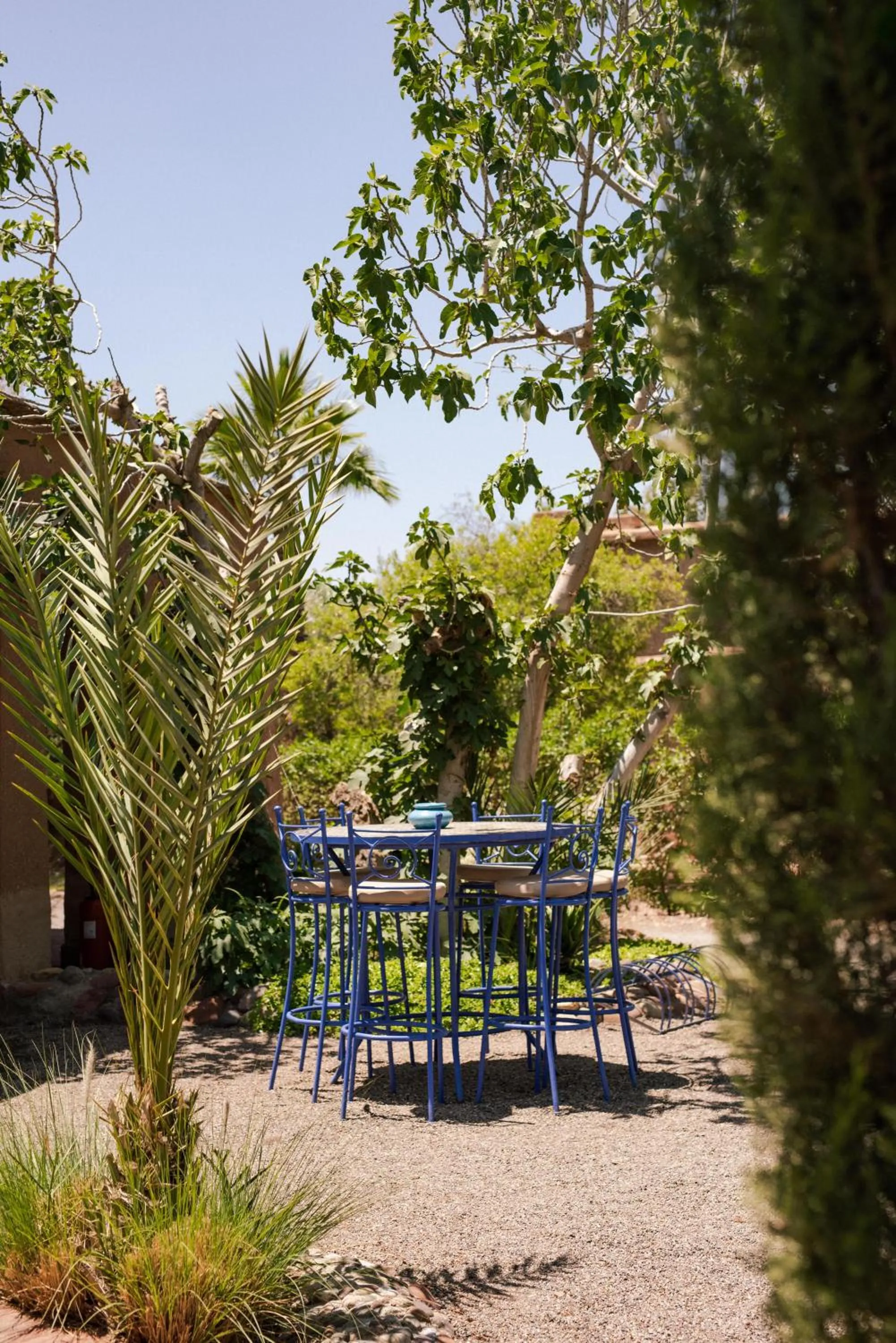 Garden in Jnane Allia