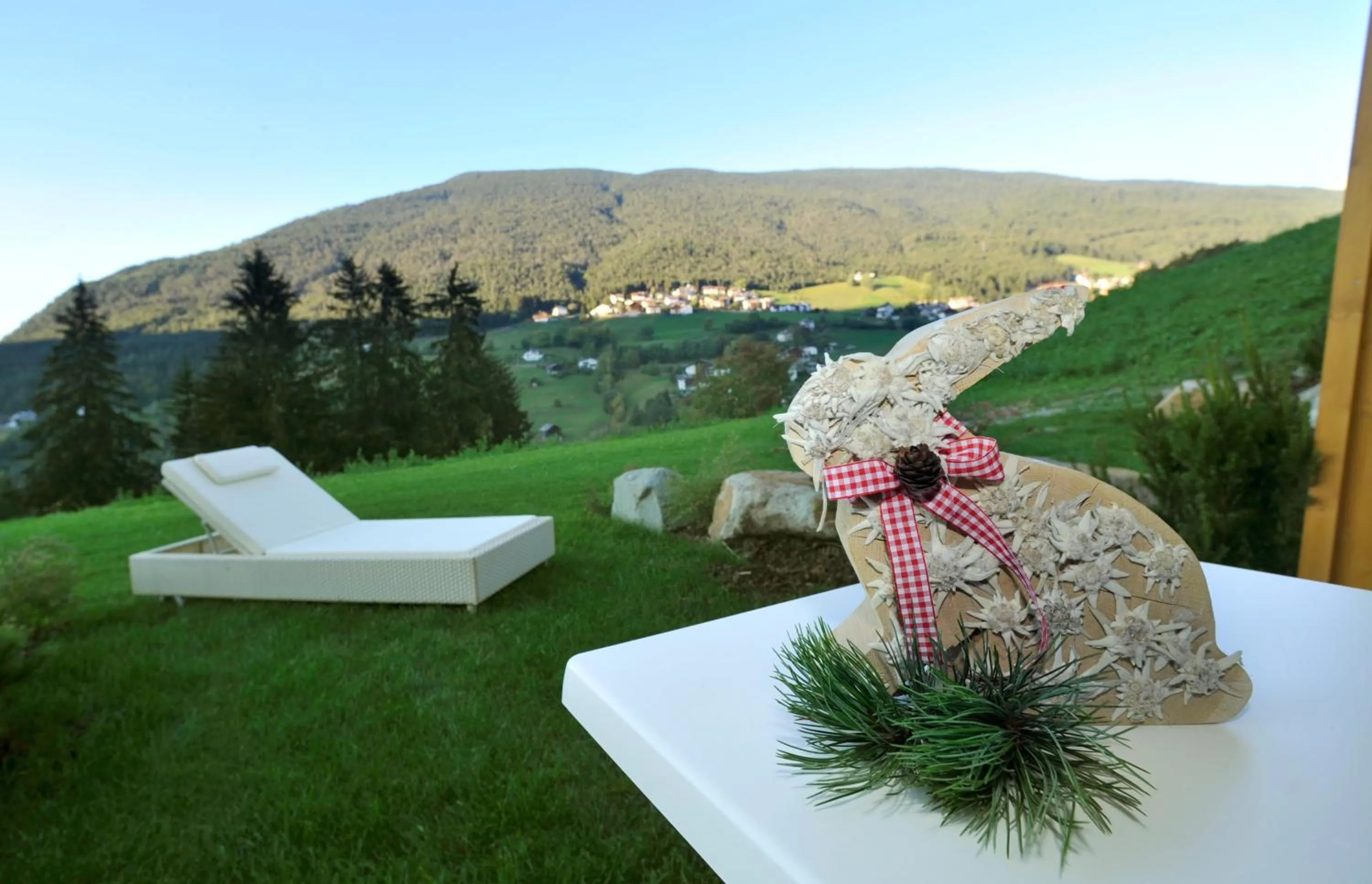 Garden in Hotel Digon