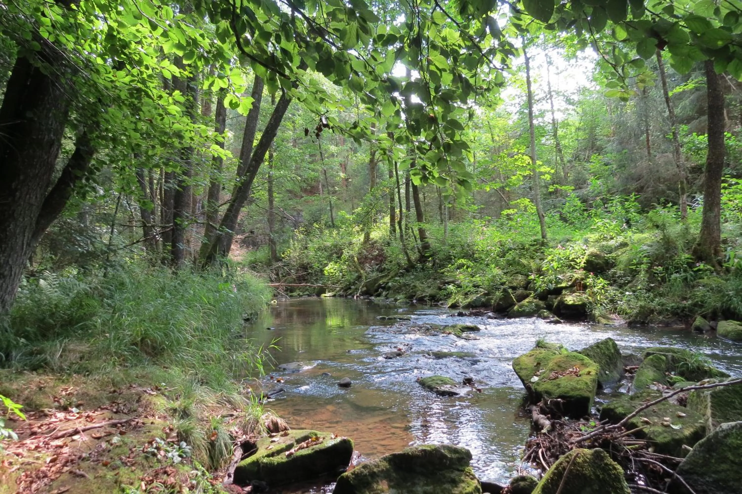 Staff in Büchelsteiner Hof