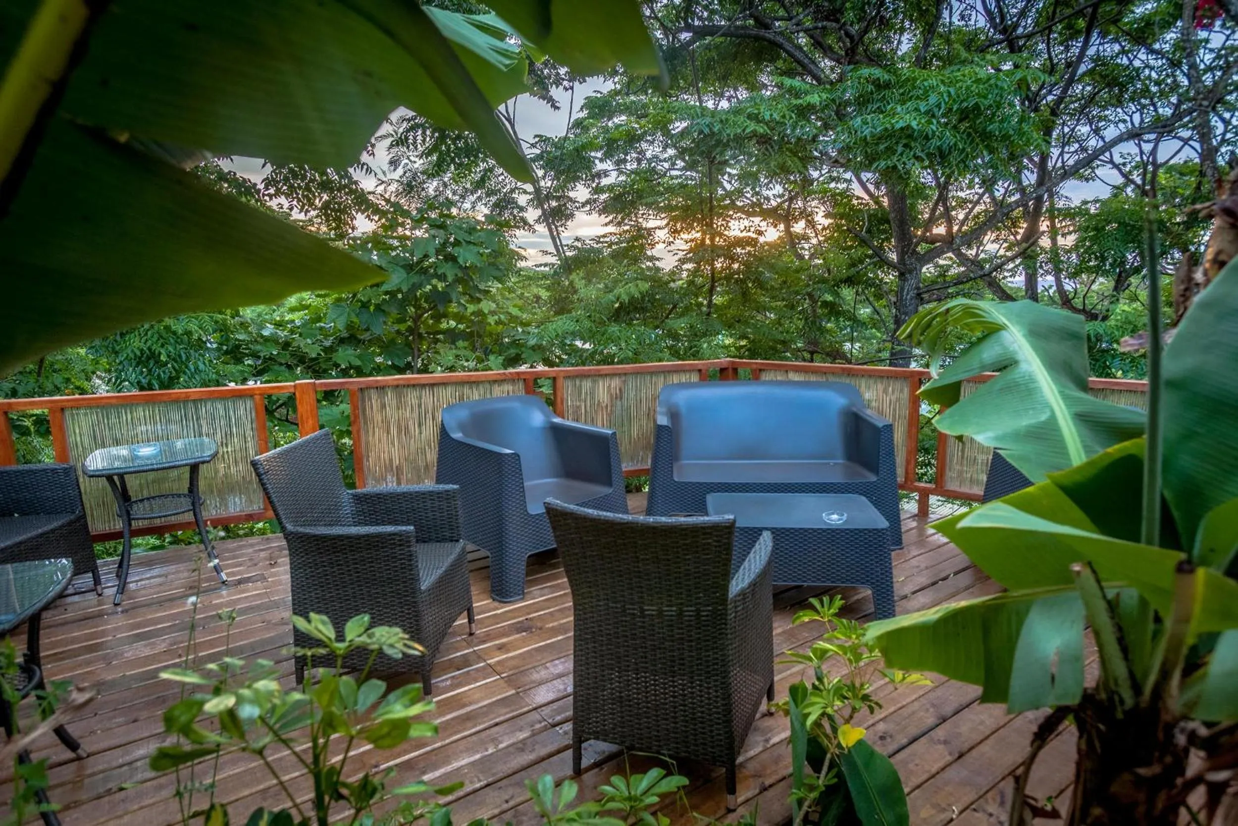 Garden in Easter Island Ecolodge