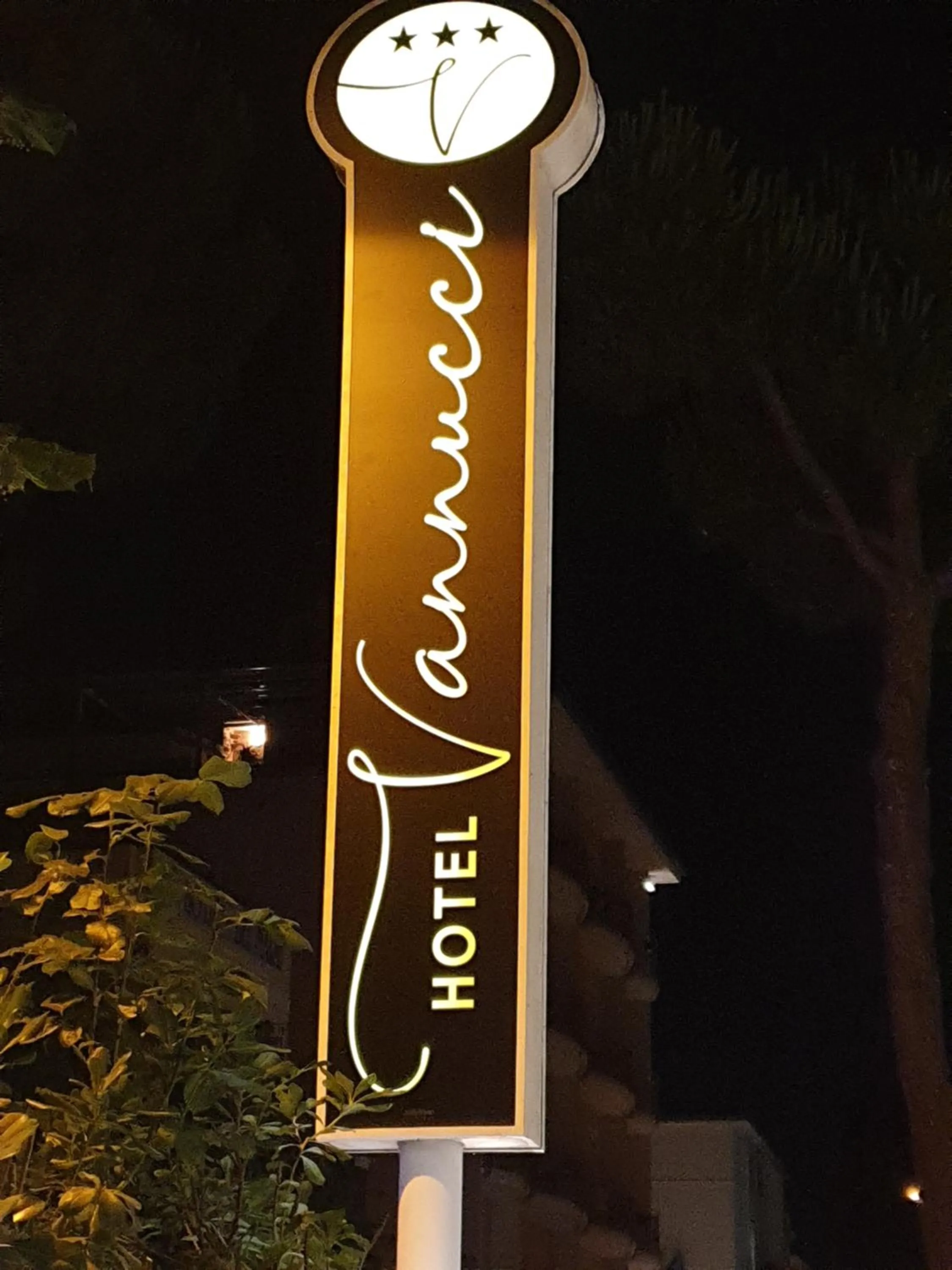 Night in Hotel Vannucci