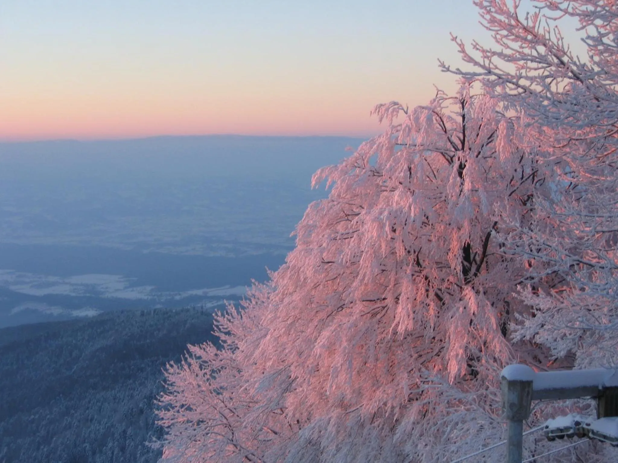 Day in Hotel Tomislavov Dom