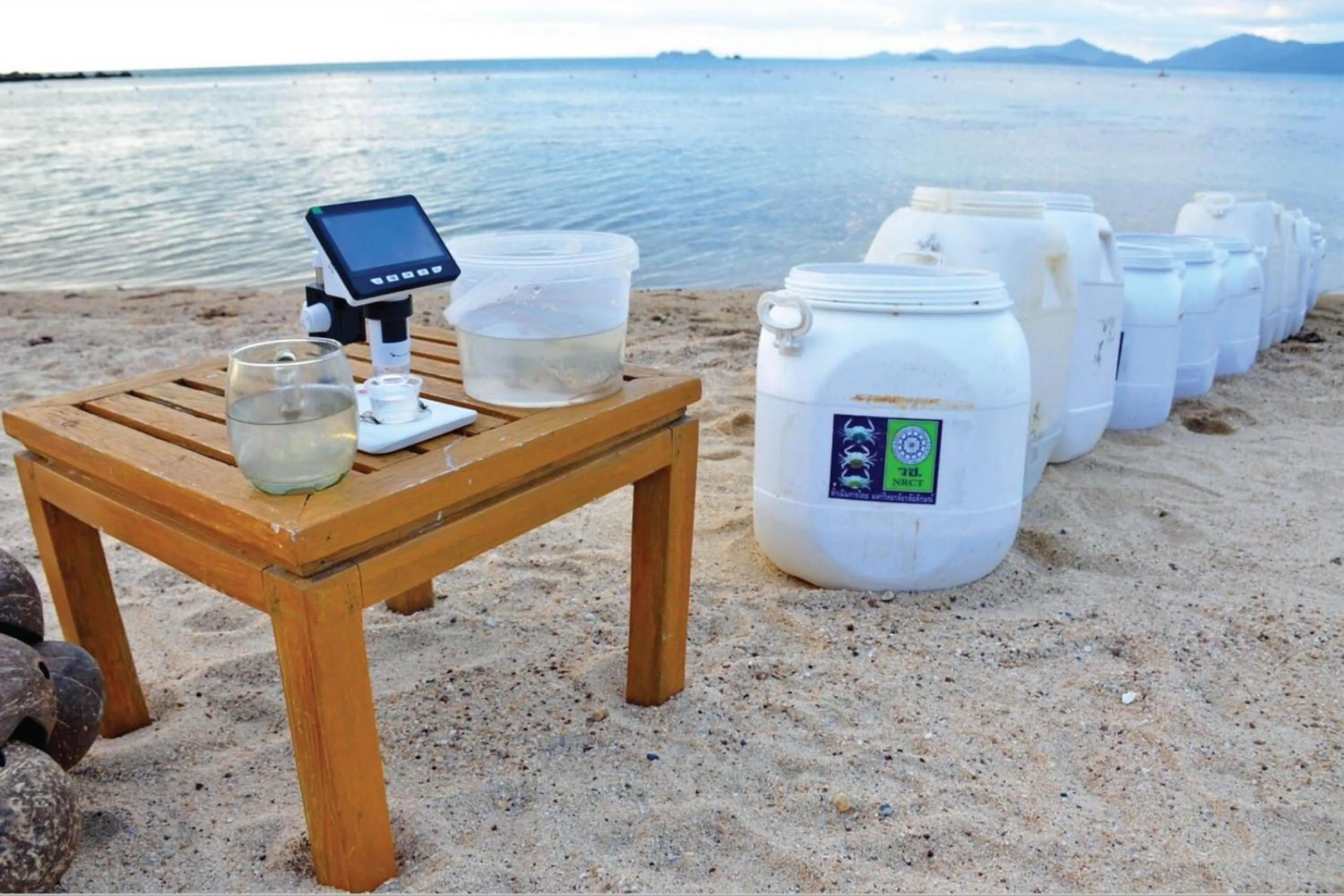 Other in Sheraton Samui Resort