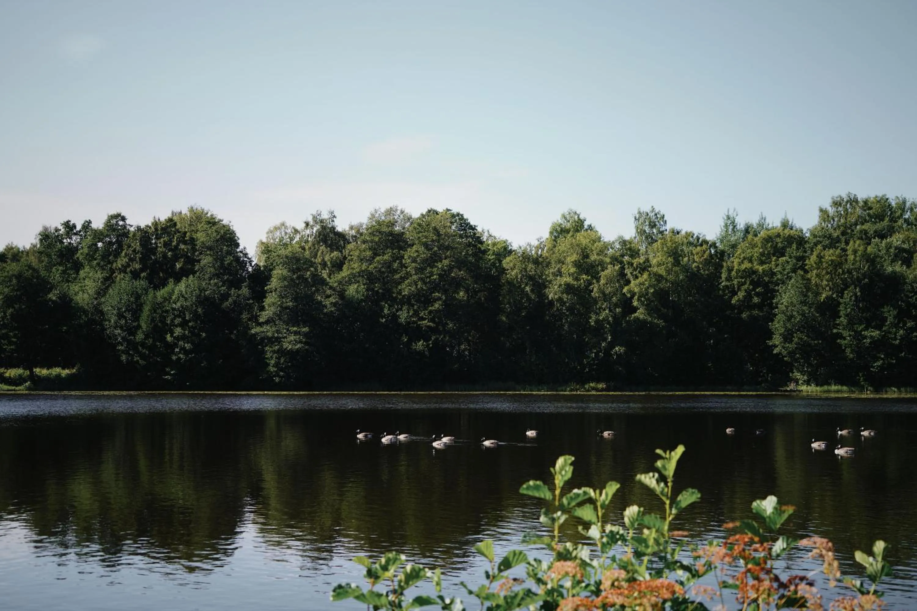 Off site in Åsby Hotell