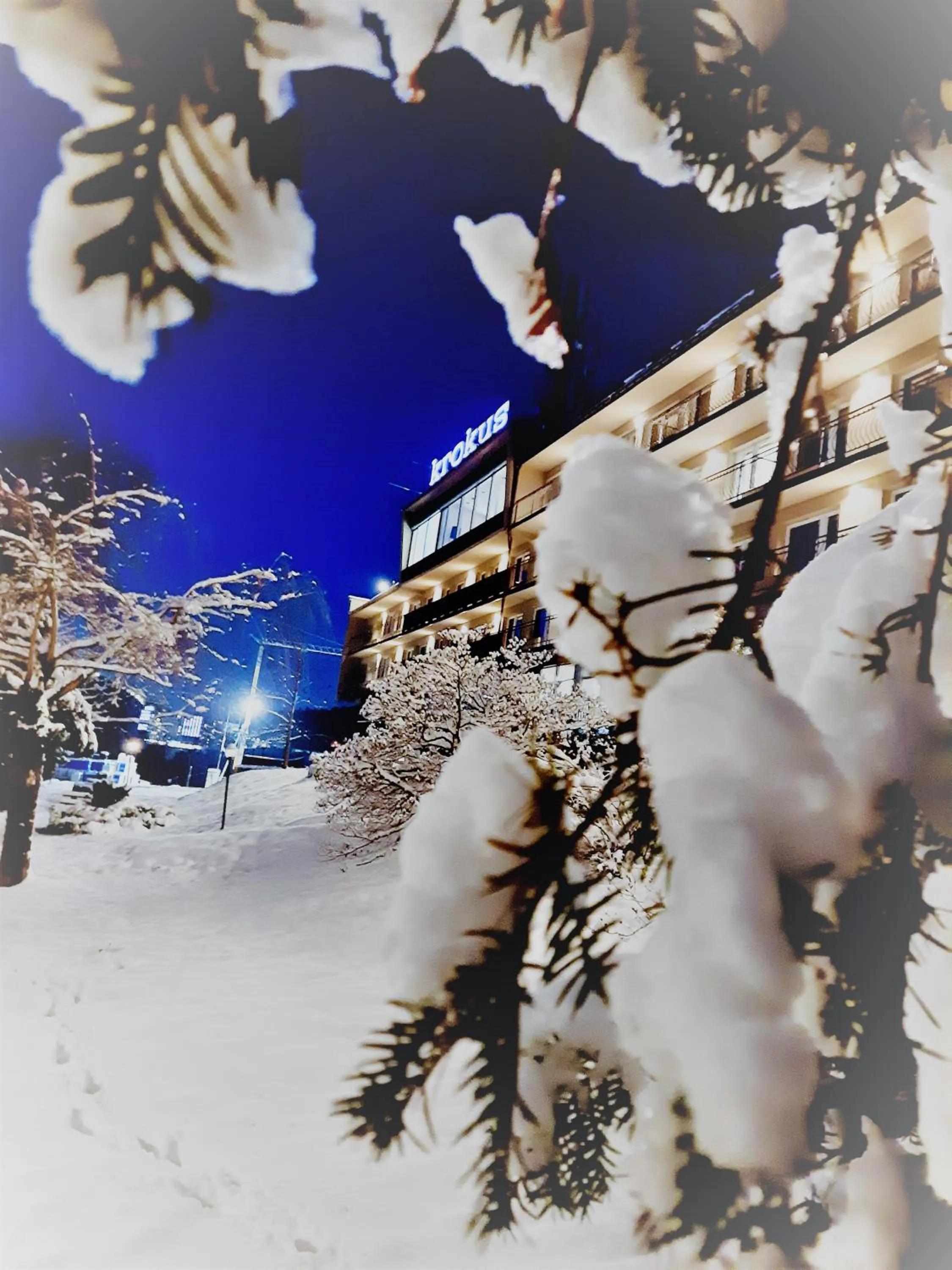 Property building in Krokus