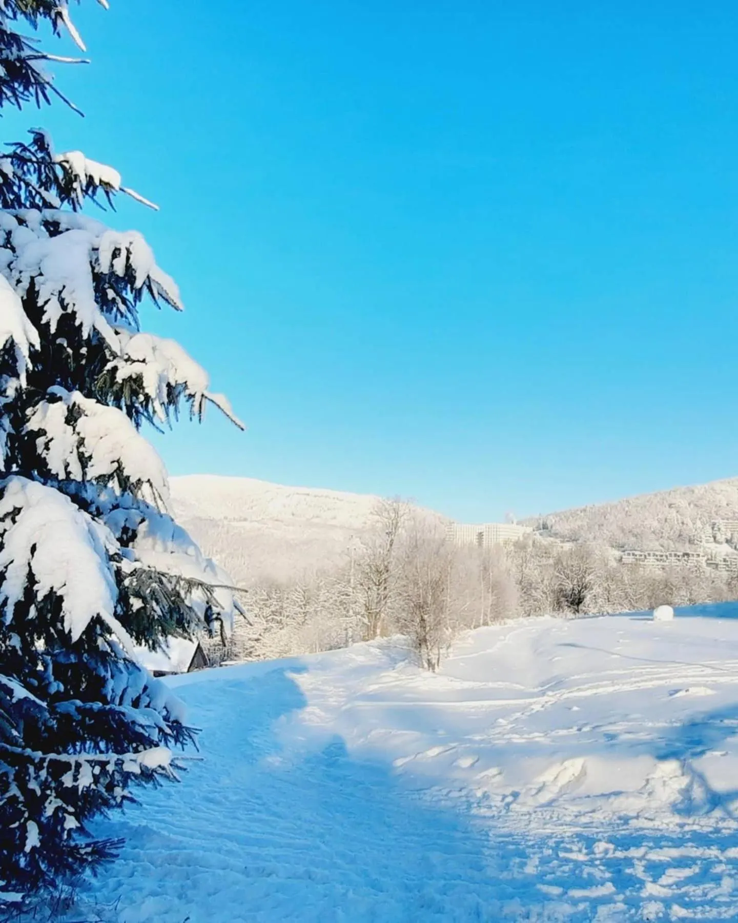 Natural landscape in Krokus
