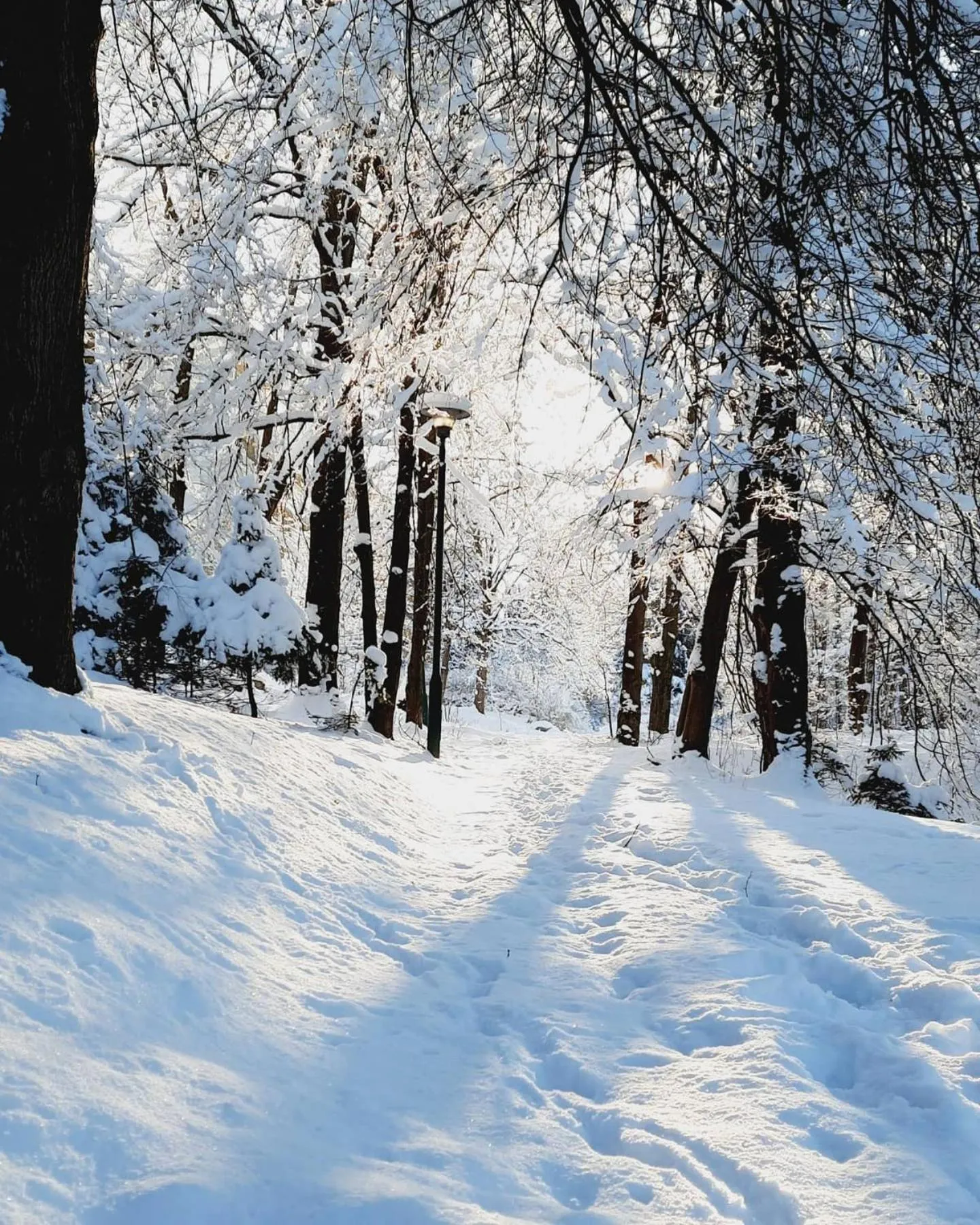 Natural landscape in Krokus