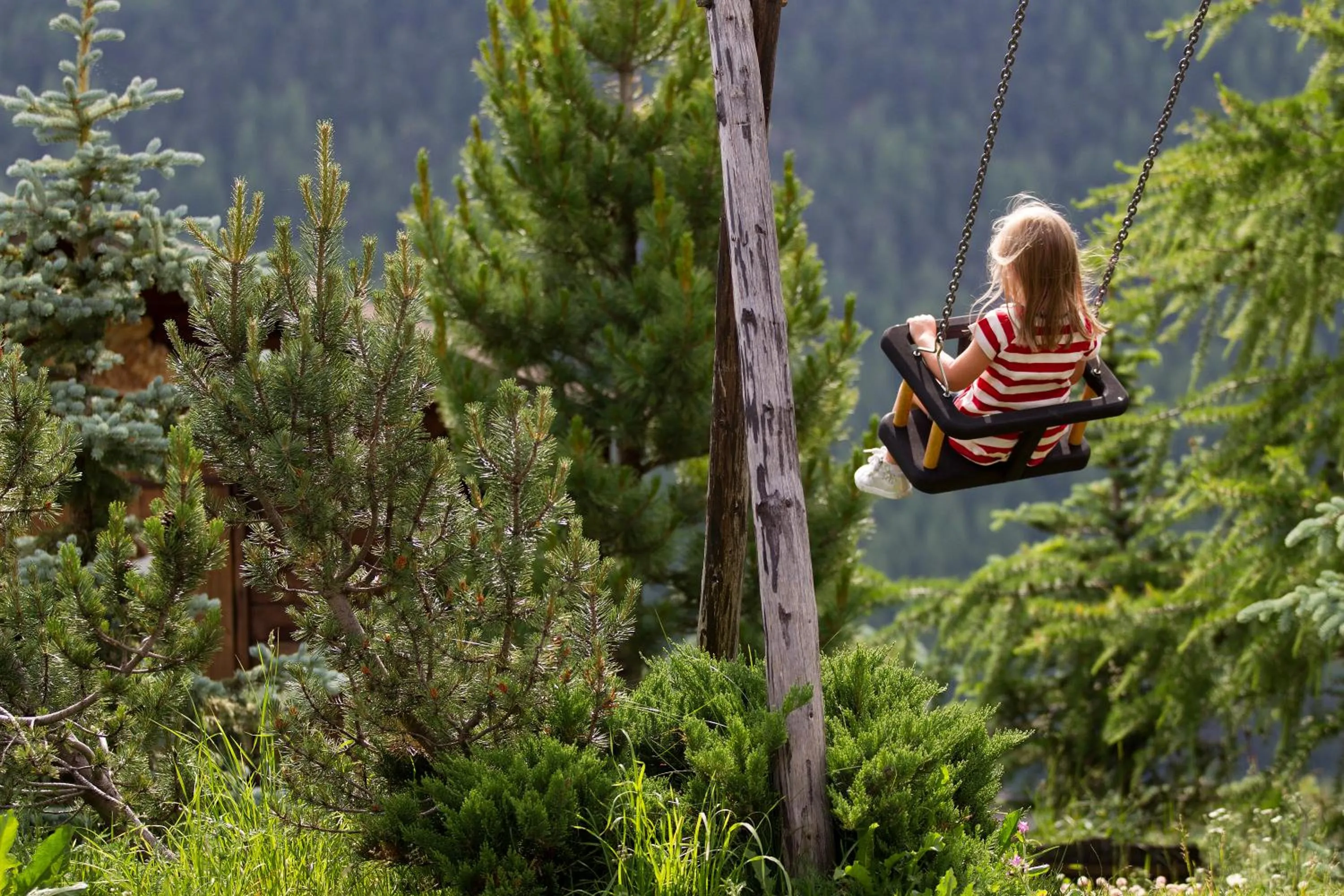 Activities in Hotel Astoria