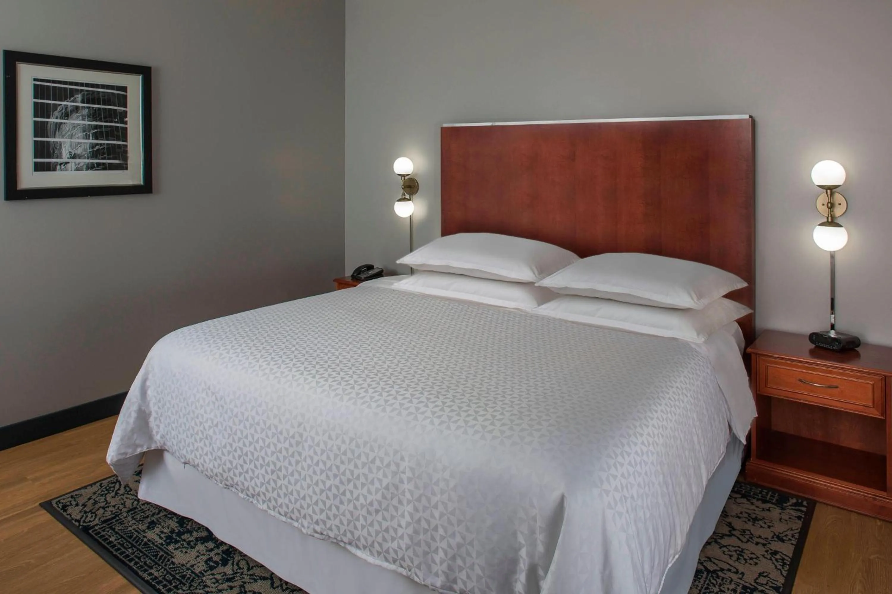 Photo of the whole room, Bed in Four Points by Sheraton Houston Hobby Airport
