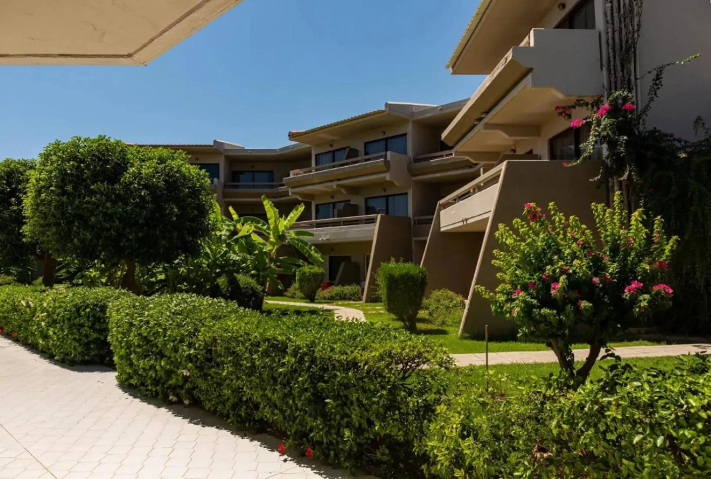 Garden view in Cathrin Hotel