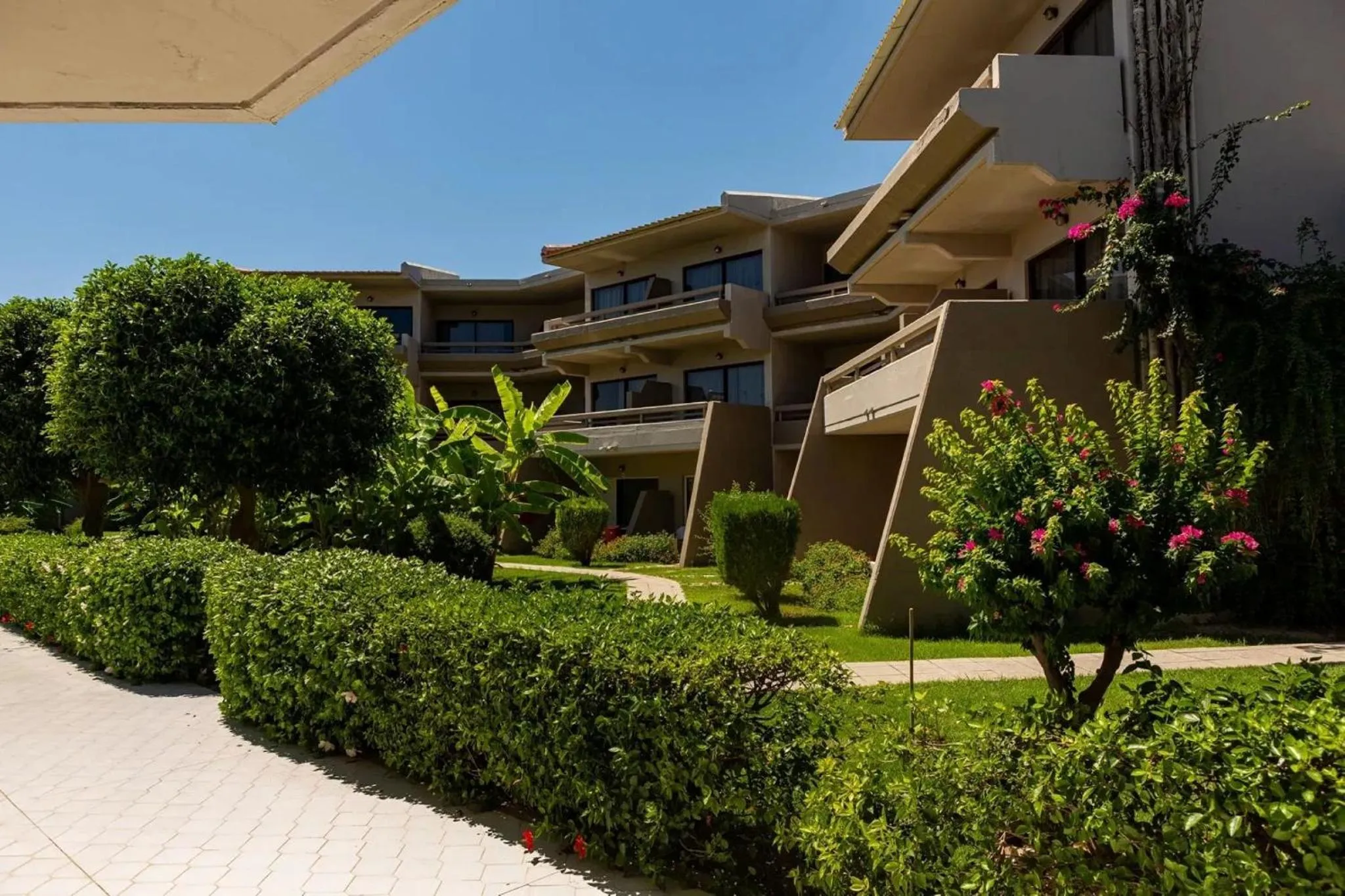 Garden view in Cathrin Hotel