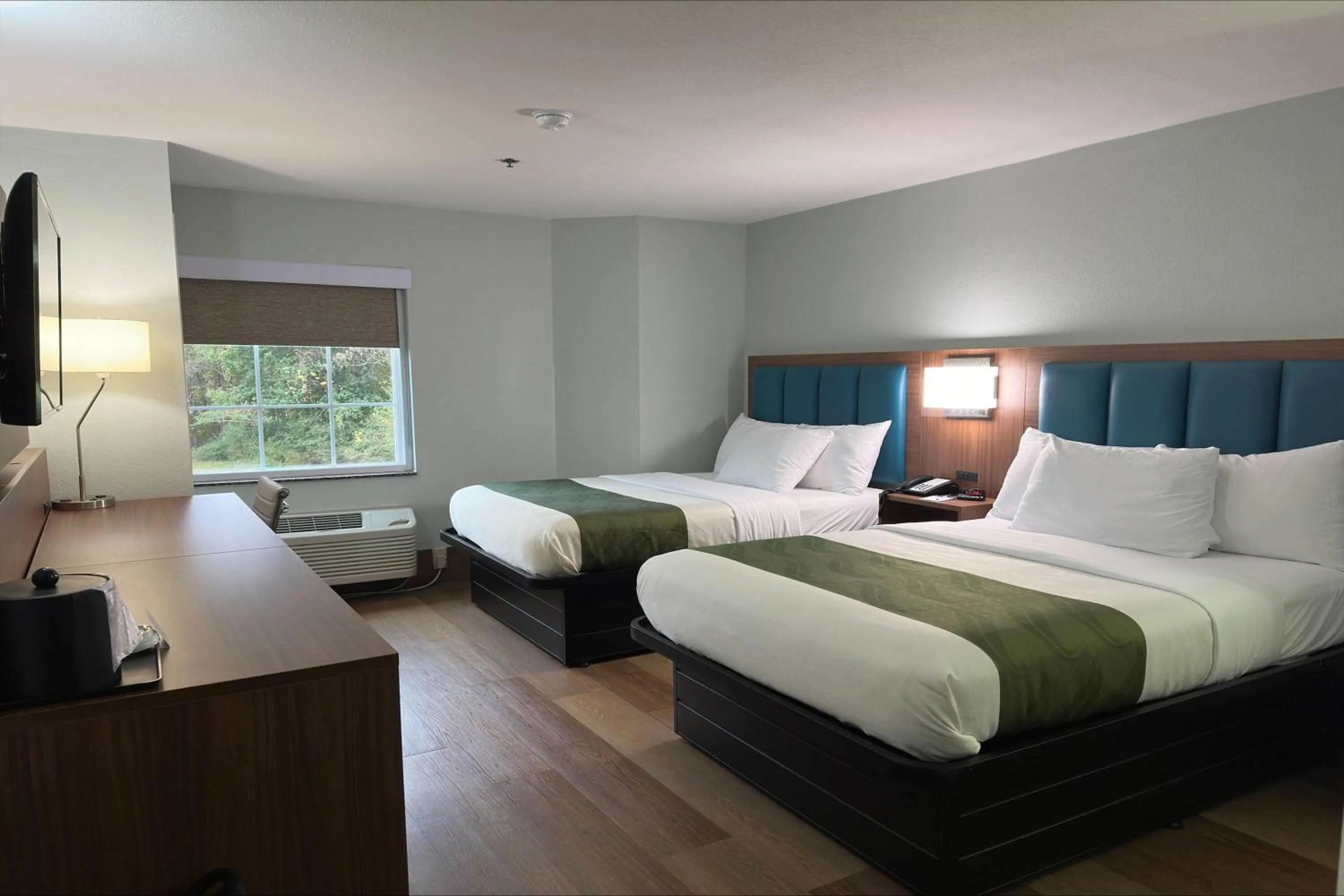 Photo of the whole room, Bed in Wingate by Wyndham Macon West I-475