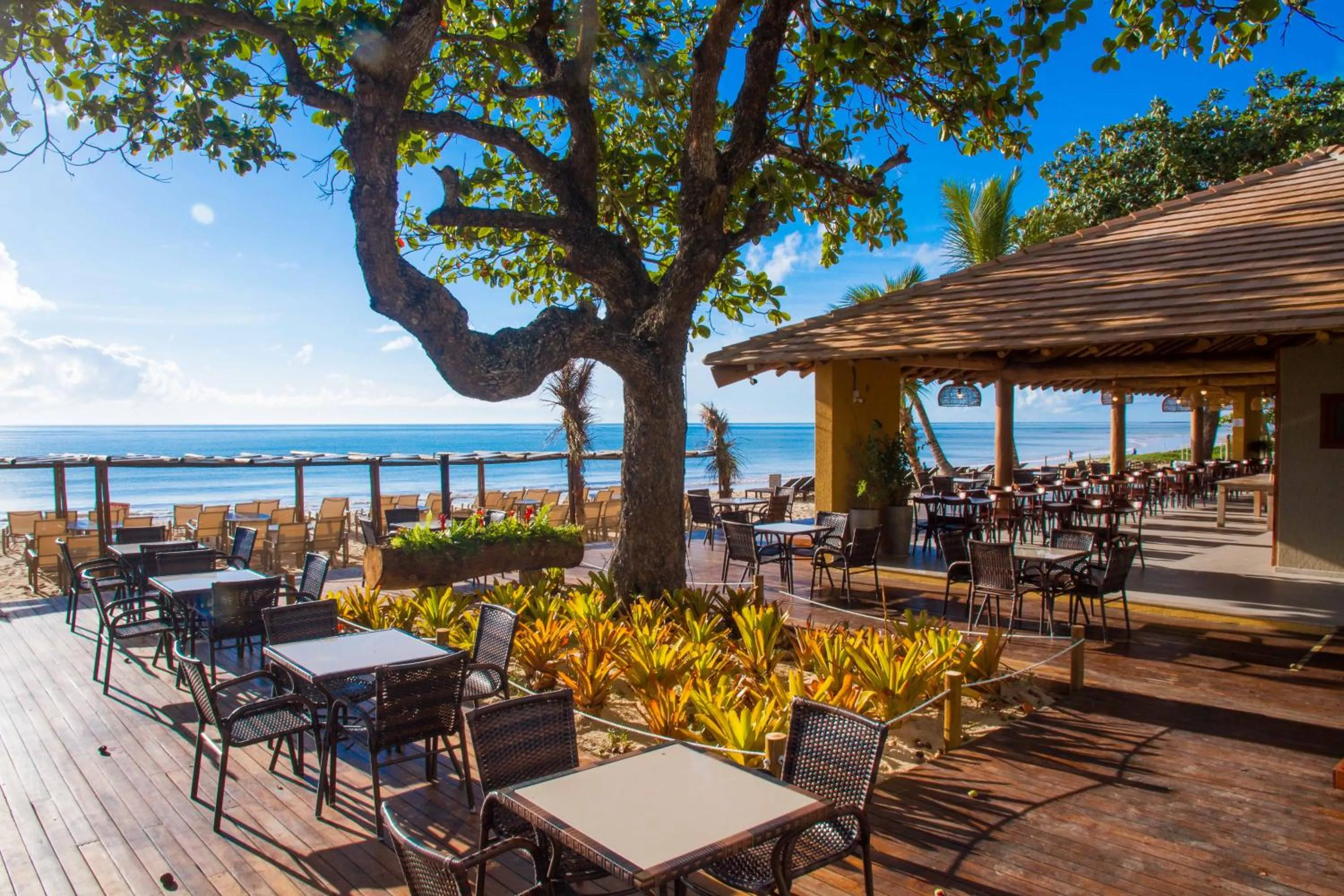 Beach in Porto Seguro Praia Resort - All Inclusive