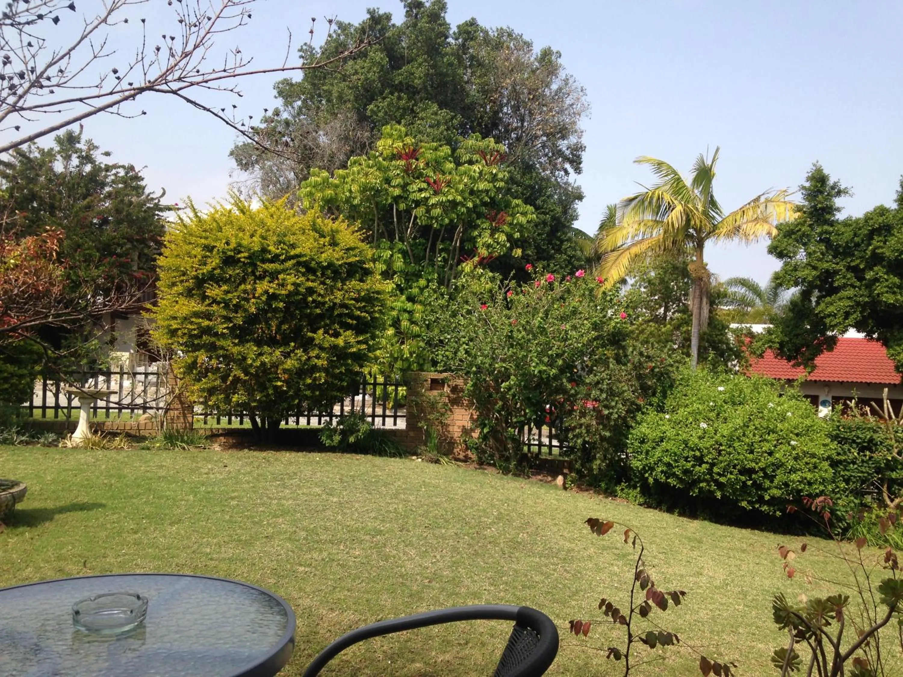 Garden in Blue Fern of Knysna
