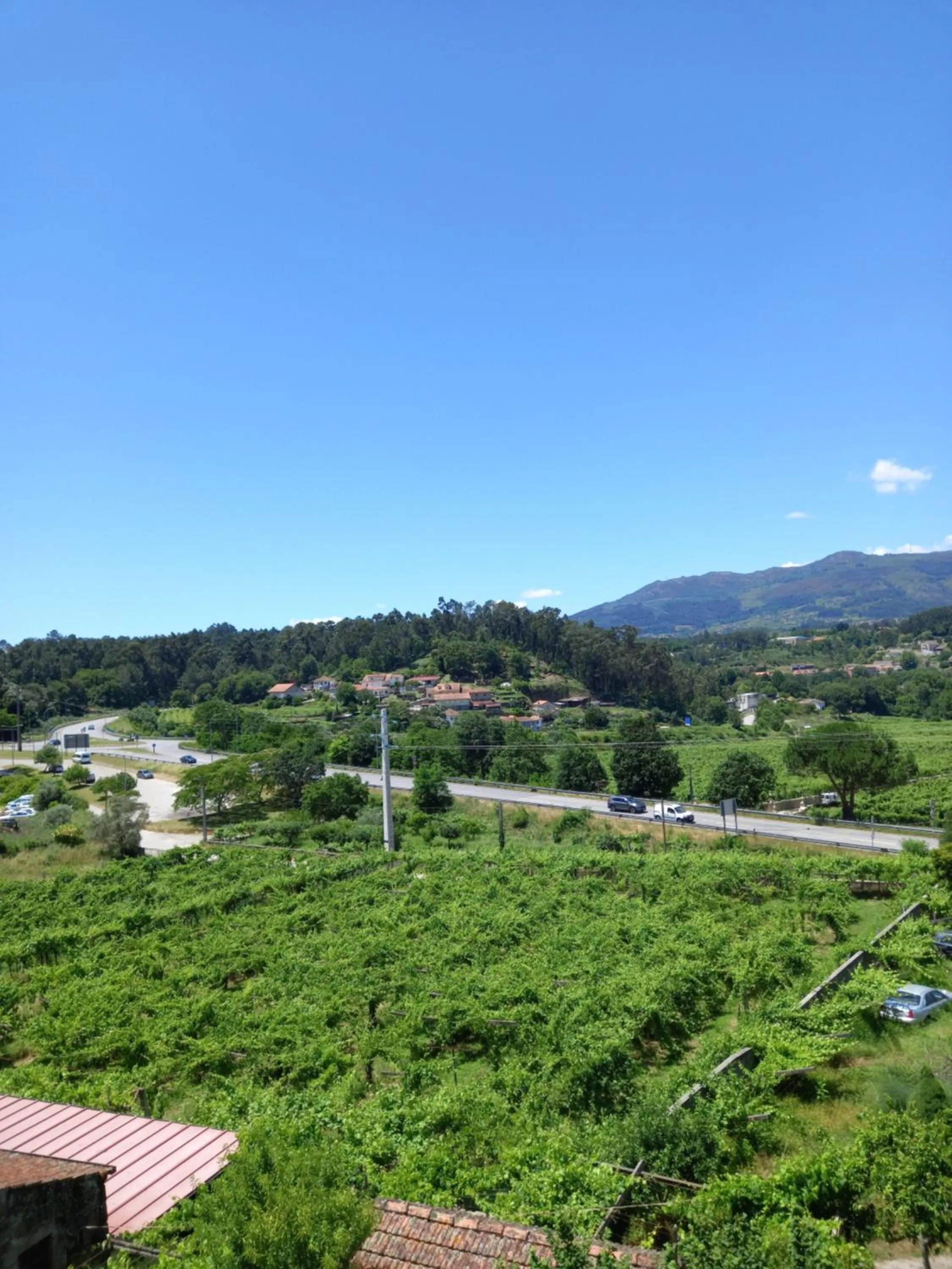 Natural landscape in Hotel Boavista I