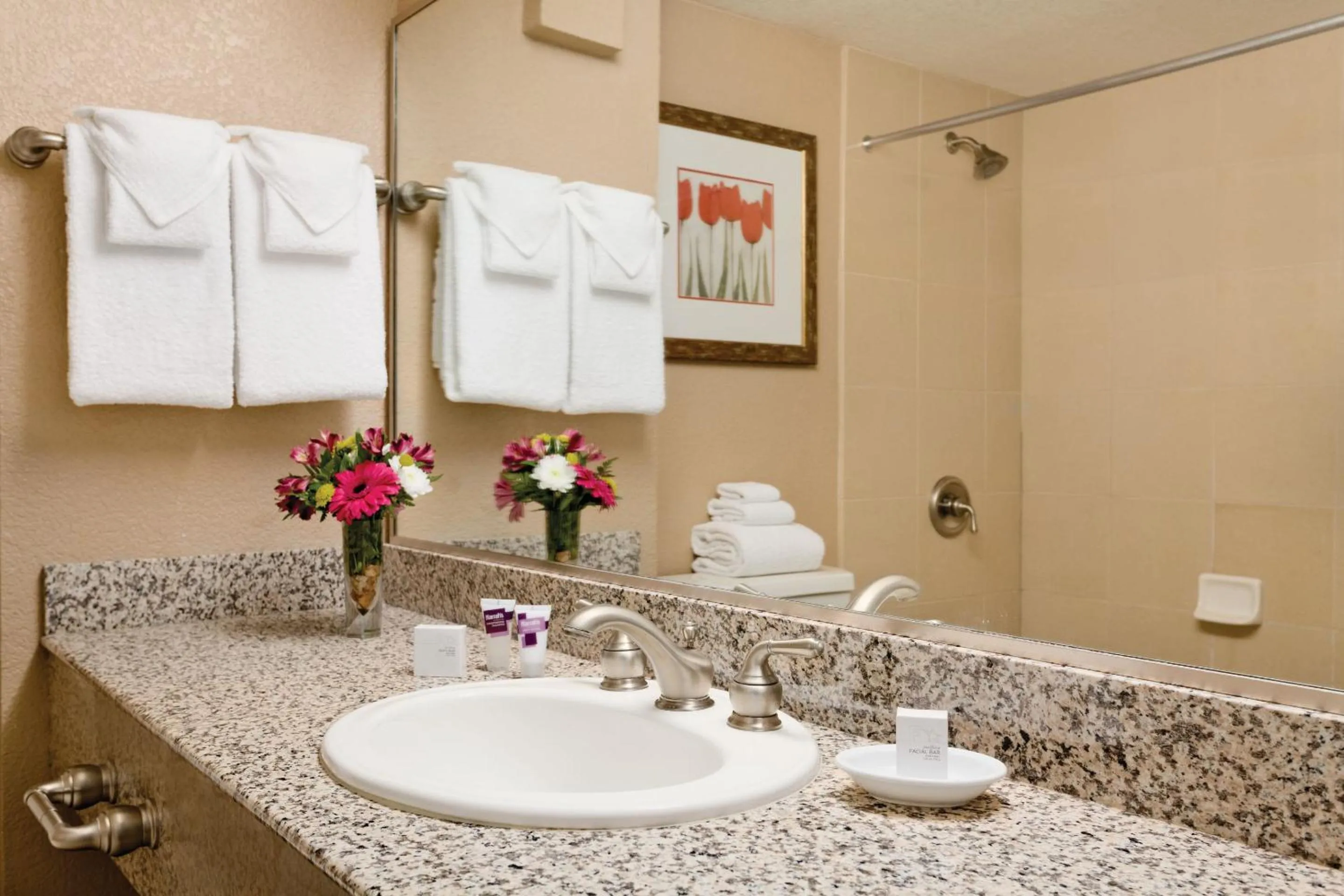 Bathroom in Harrah's Laughlin, A Caesars Destination