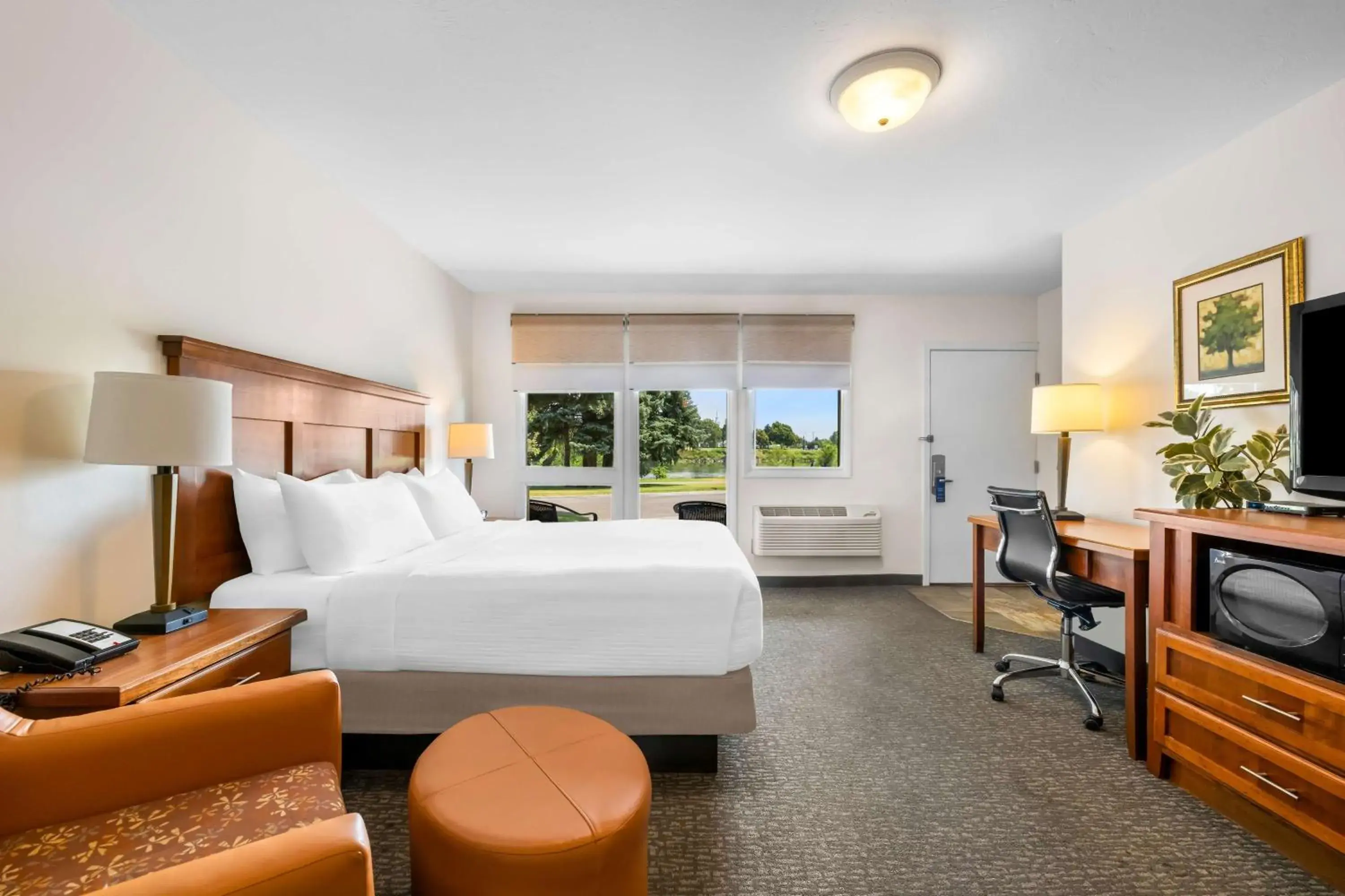 Queen Bed - Non Smoking in Best Western Driftwood Inn Queen Bed - Non Smoking in Best Western Driftwood Inn