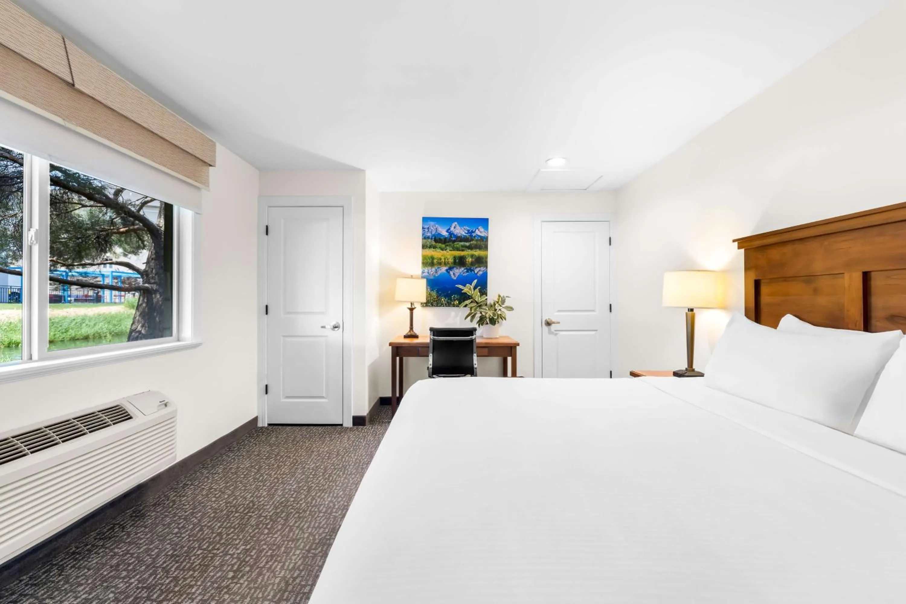 Photo of the whole room, Bed in Best Western Driftwood Inn