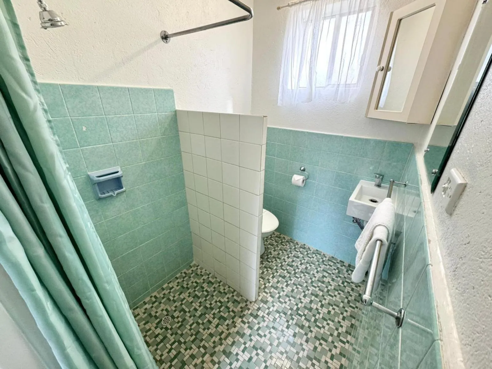 Shower in Barossa Palms Motel