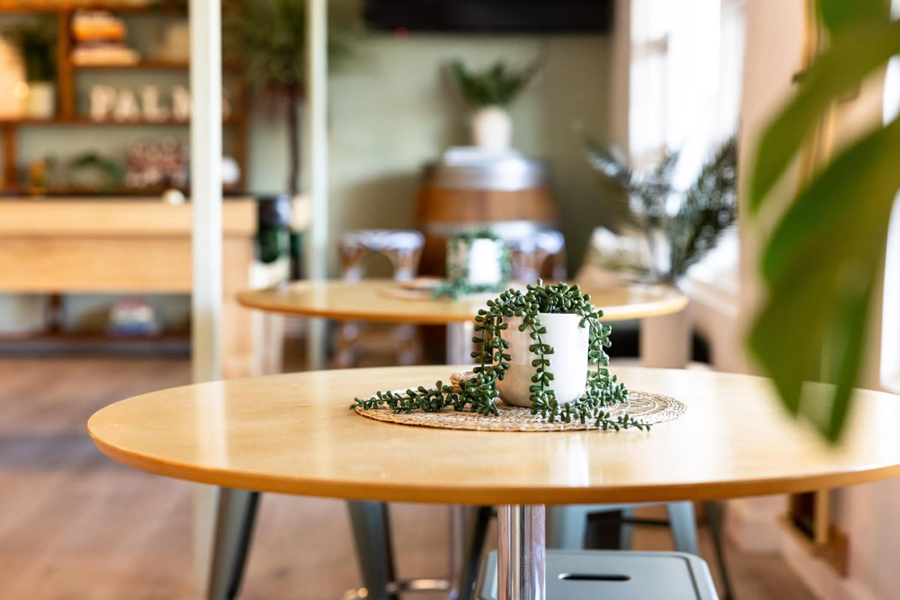 Lounge or bar in Barossa Palms Motel