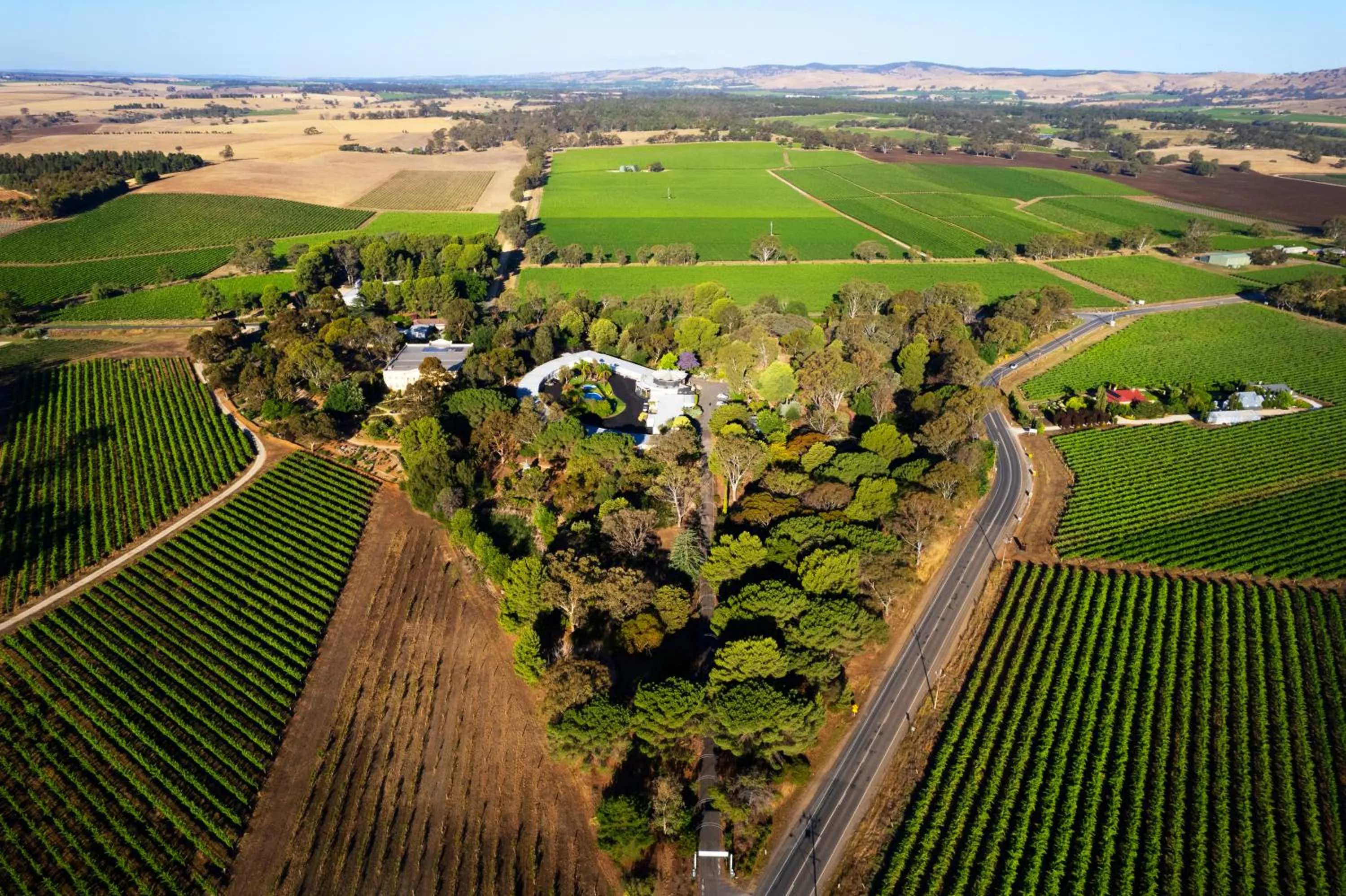Bird's eye view in Lyndoch Hill