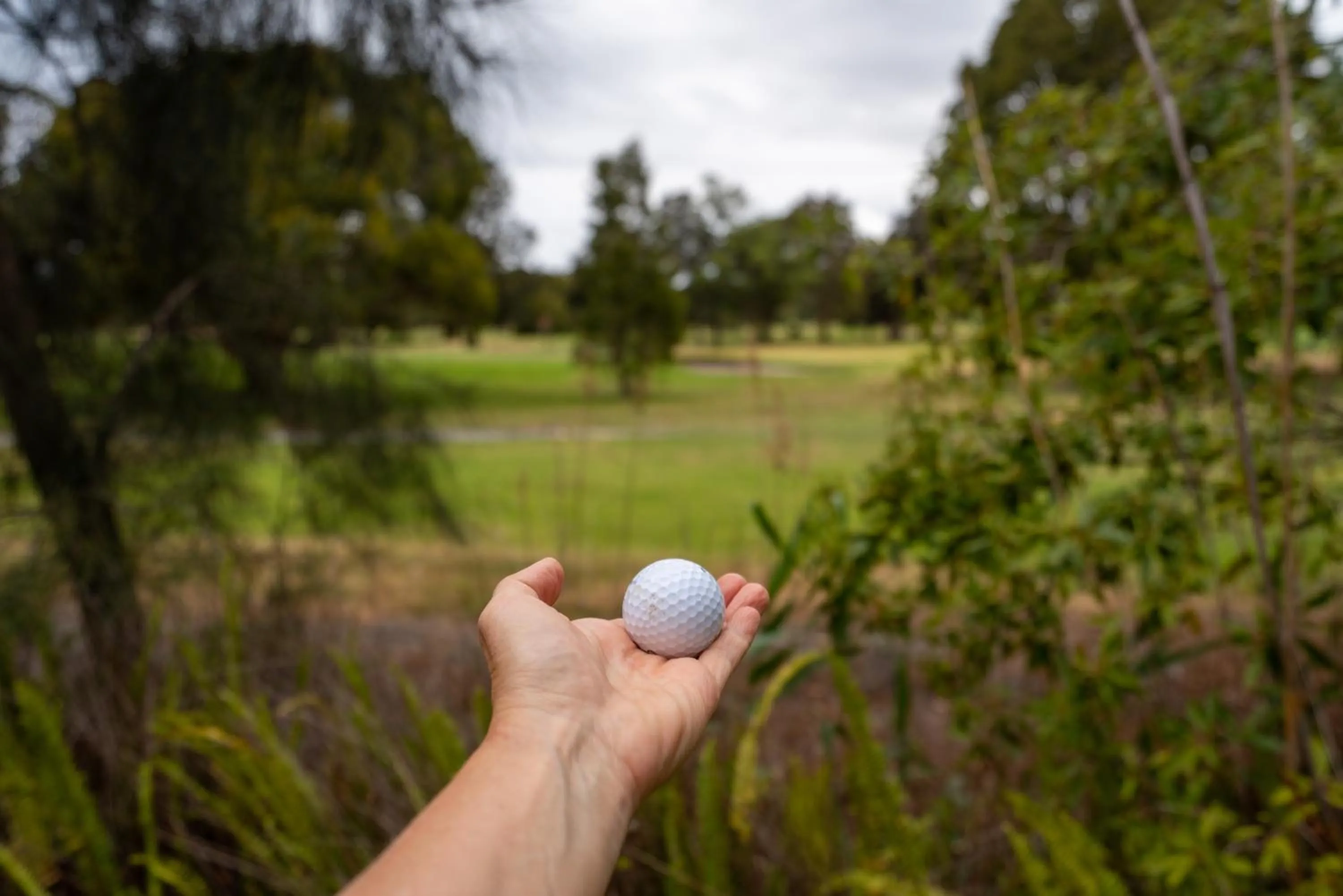 Golf Place Inn Wollongong