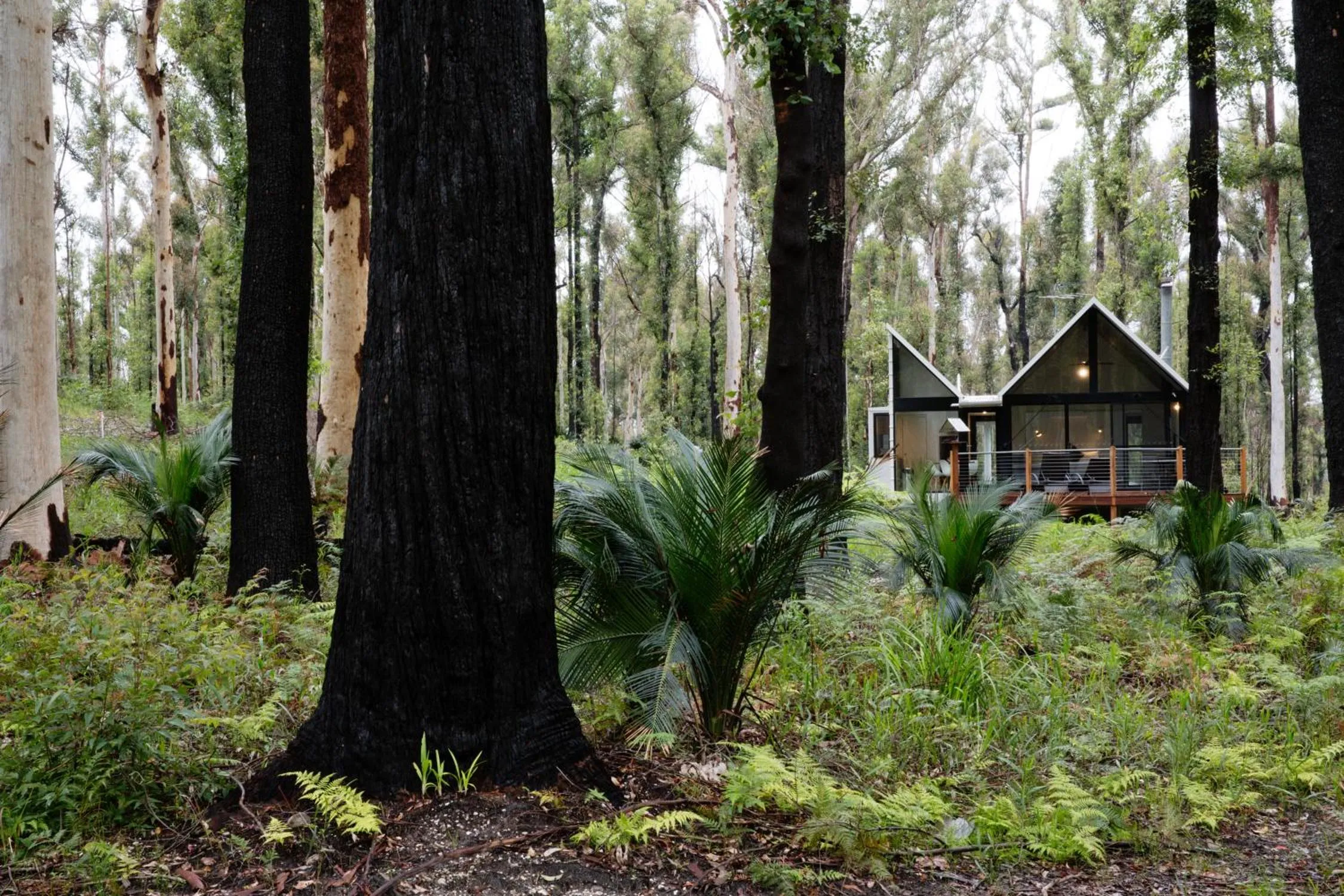 Property building in The Bower At Broulee