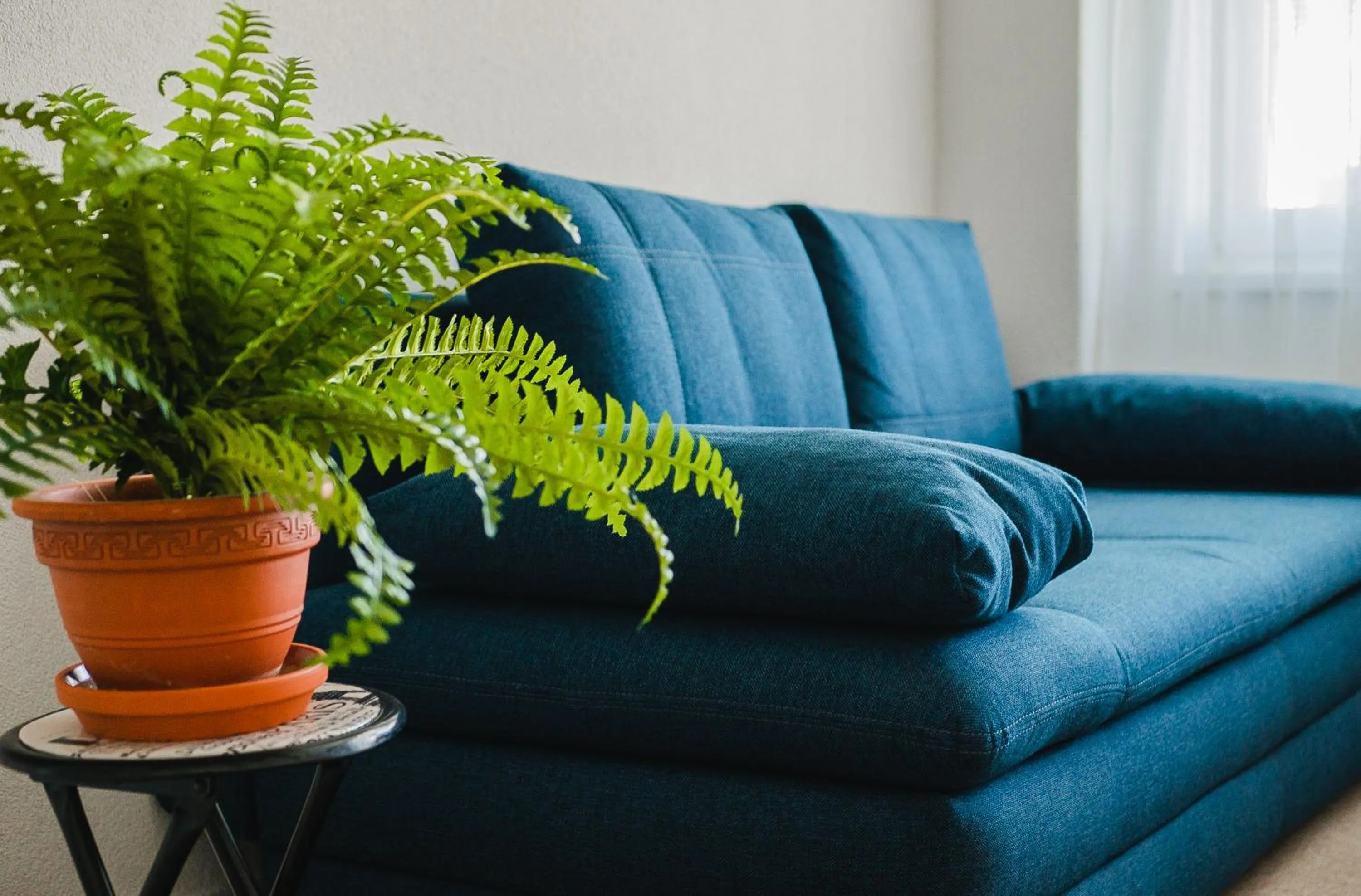 Photo of the whole room in AeroCafe