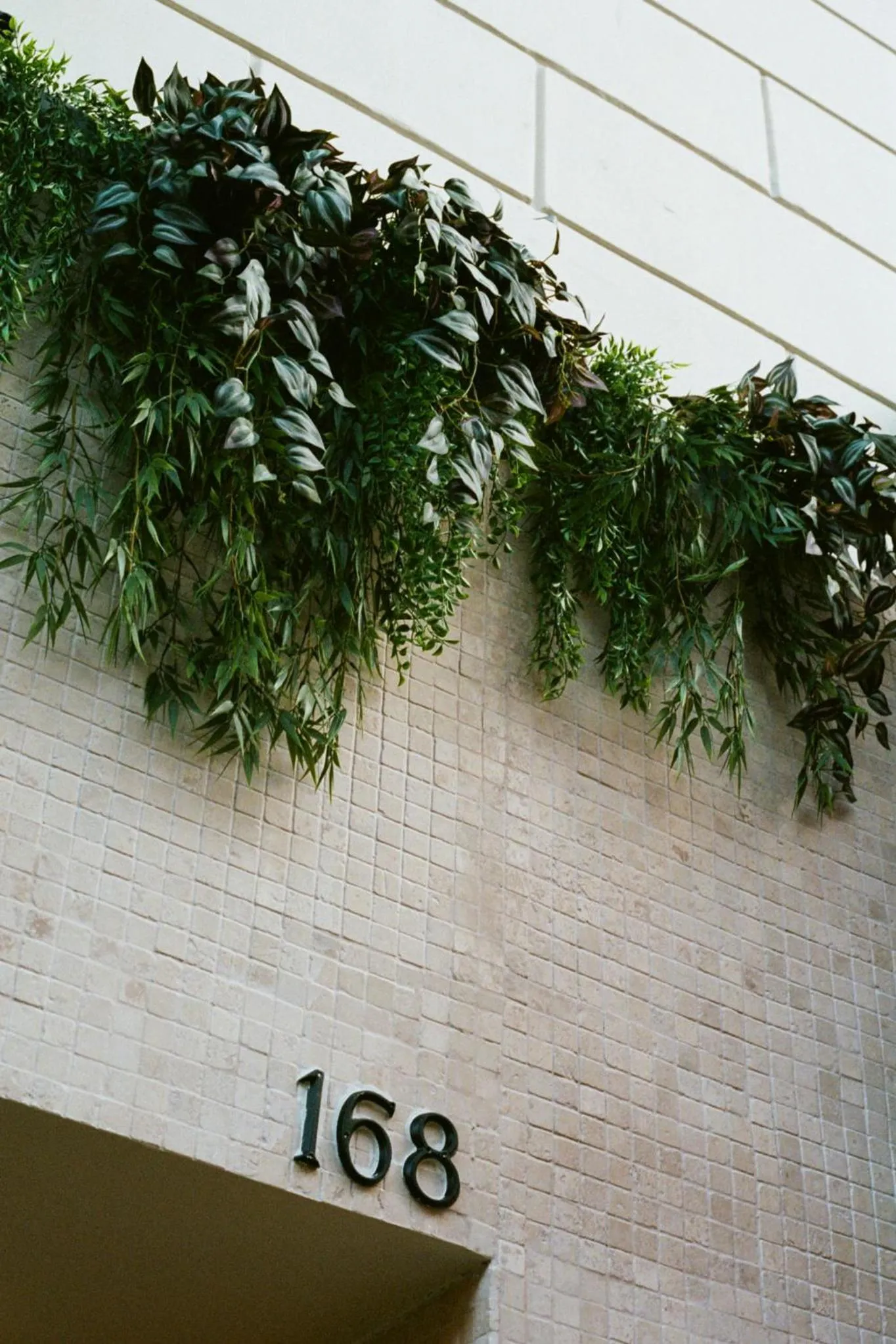 Property building in Hotel Habituel