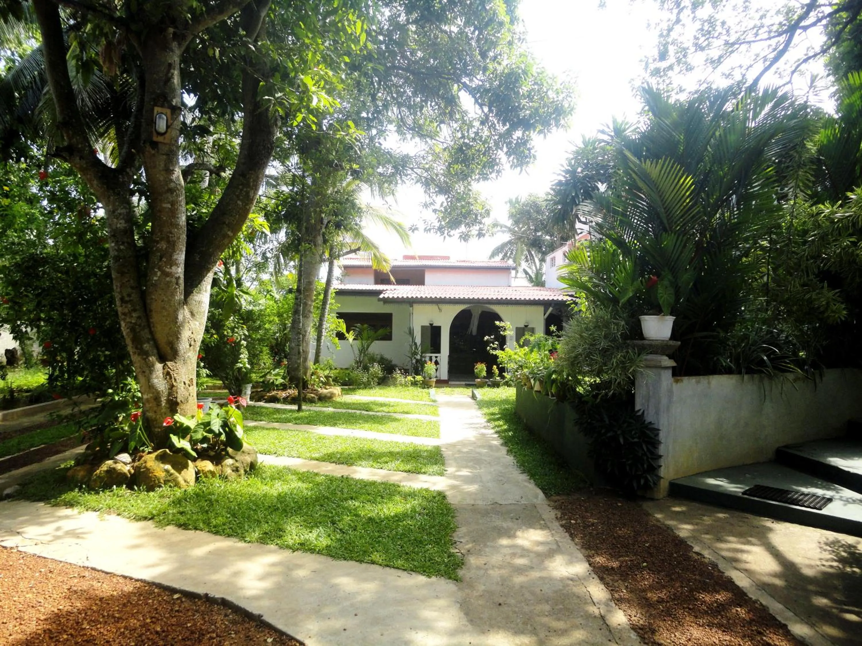 Garden in Star Holiday Resort