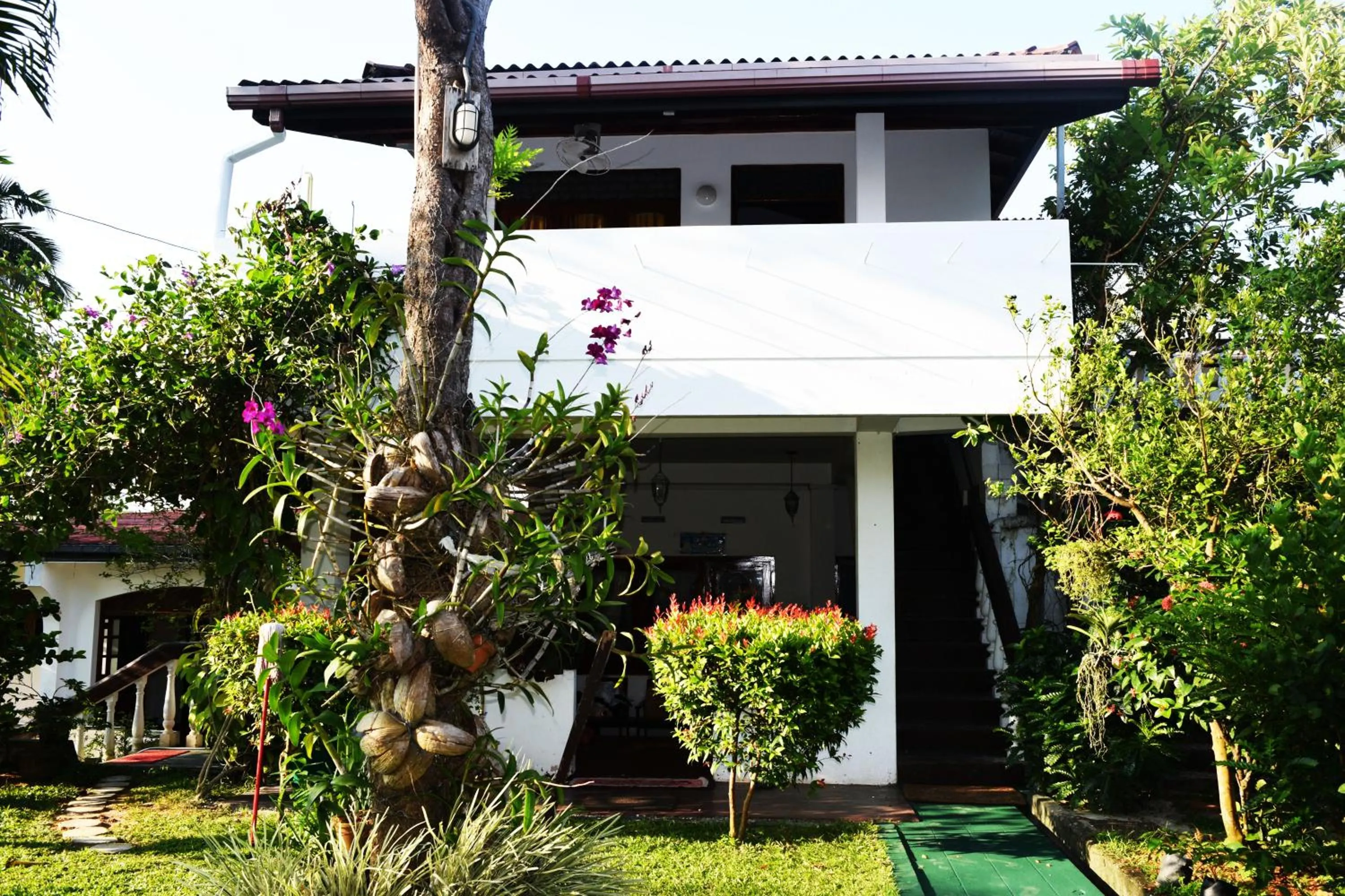 Garden in Star Holiday Resort