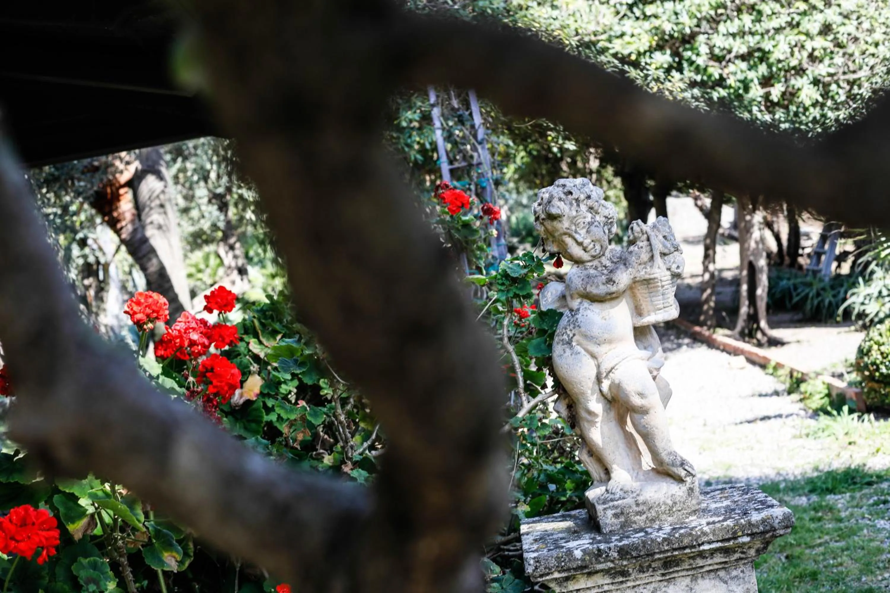 Ngonia Bay Boutique Hotel