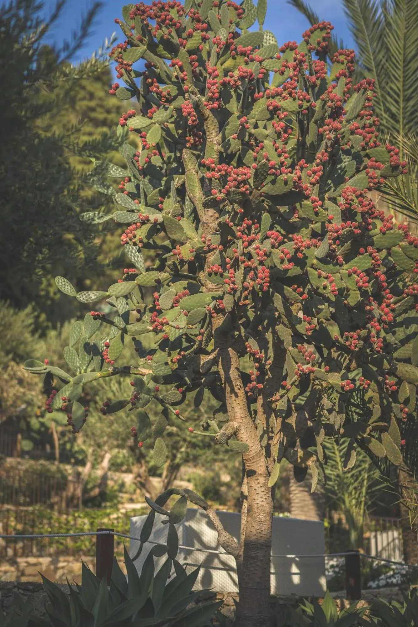 Ngonia Bay Boutique Hotel