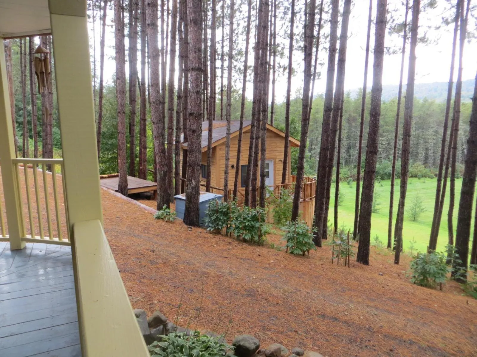 Garden in La maison sous les arbres