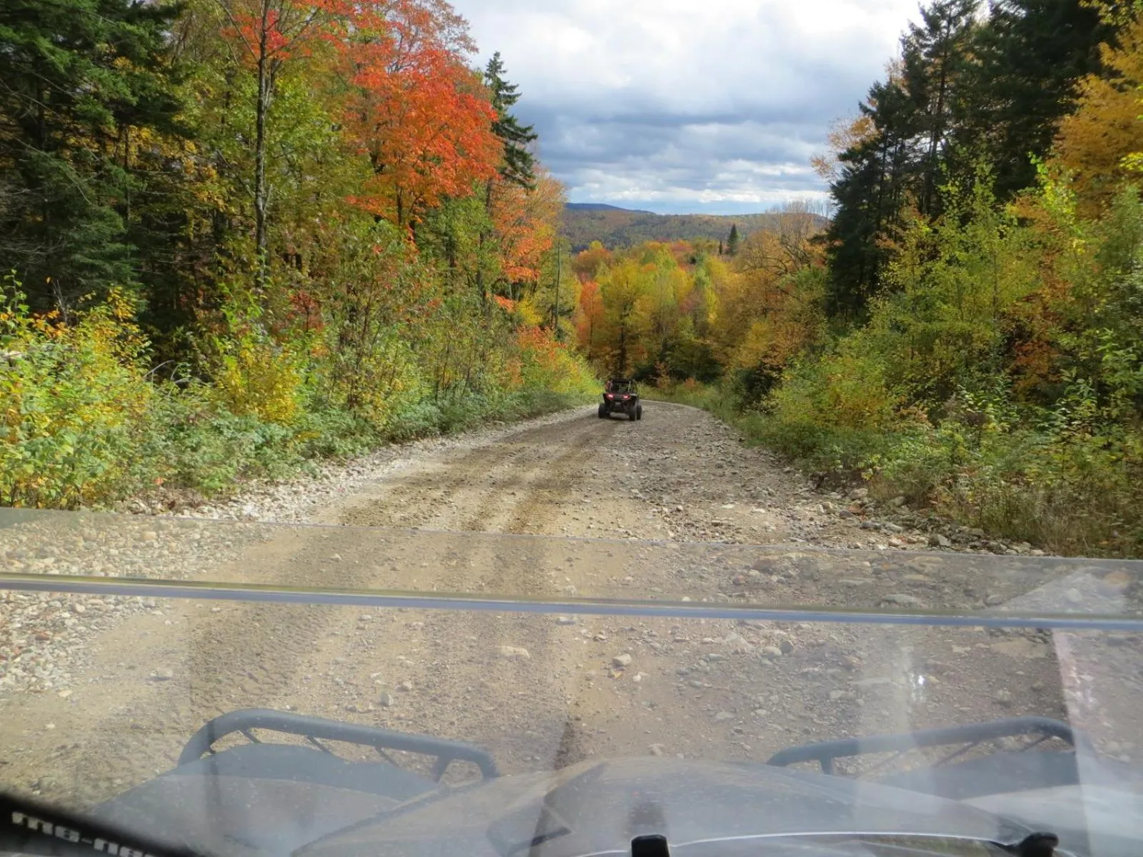 La maison sous les arbres