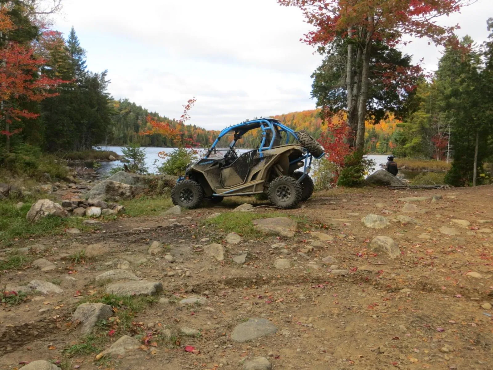 La maison sous les arbres