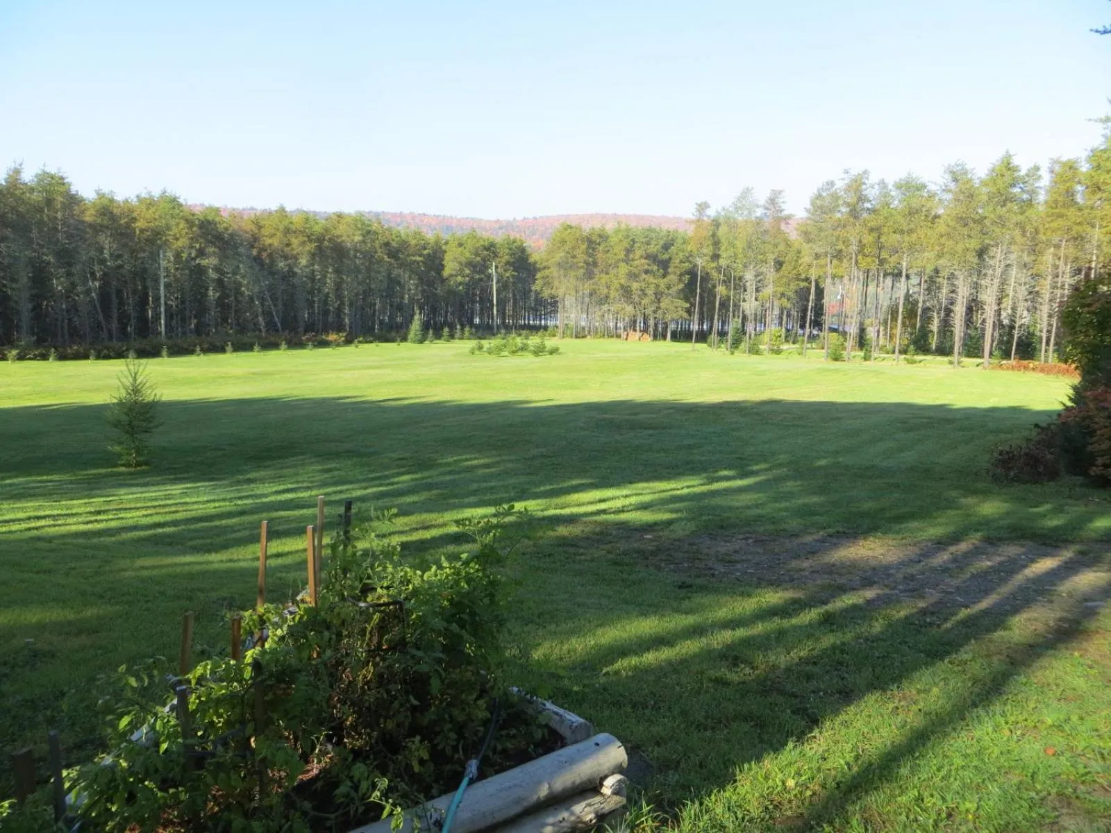 La maison sous les arbres