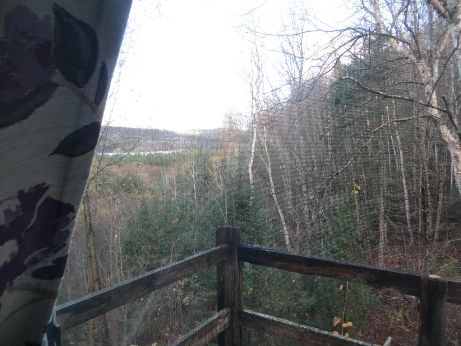 La maison sous les arbres