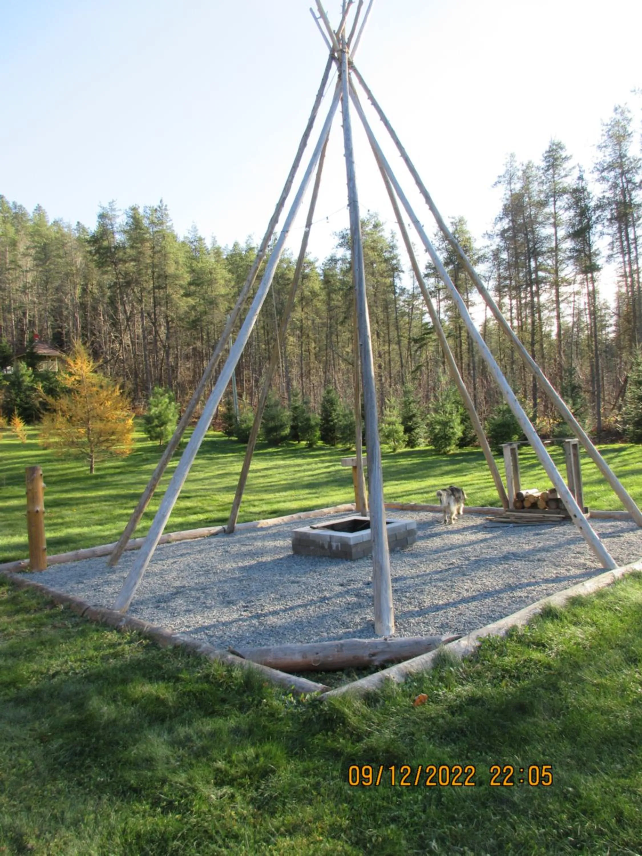 La maison sous les arbres