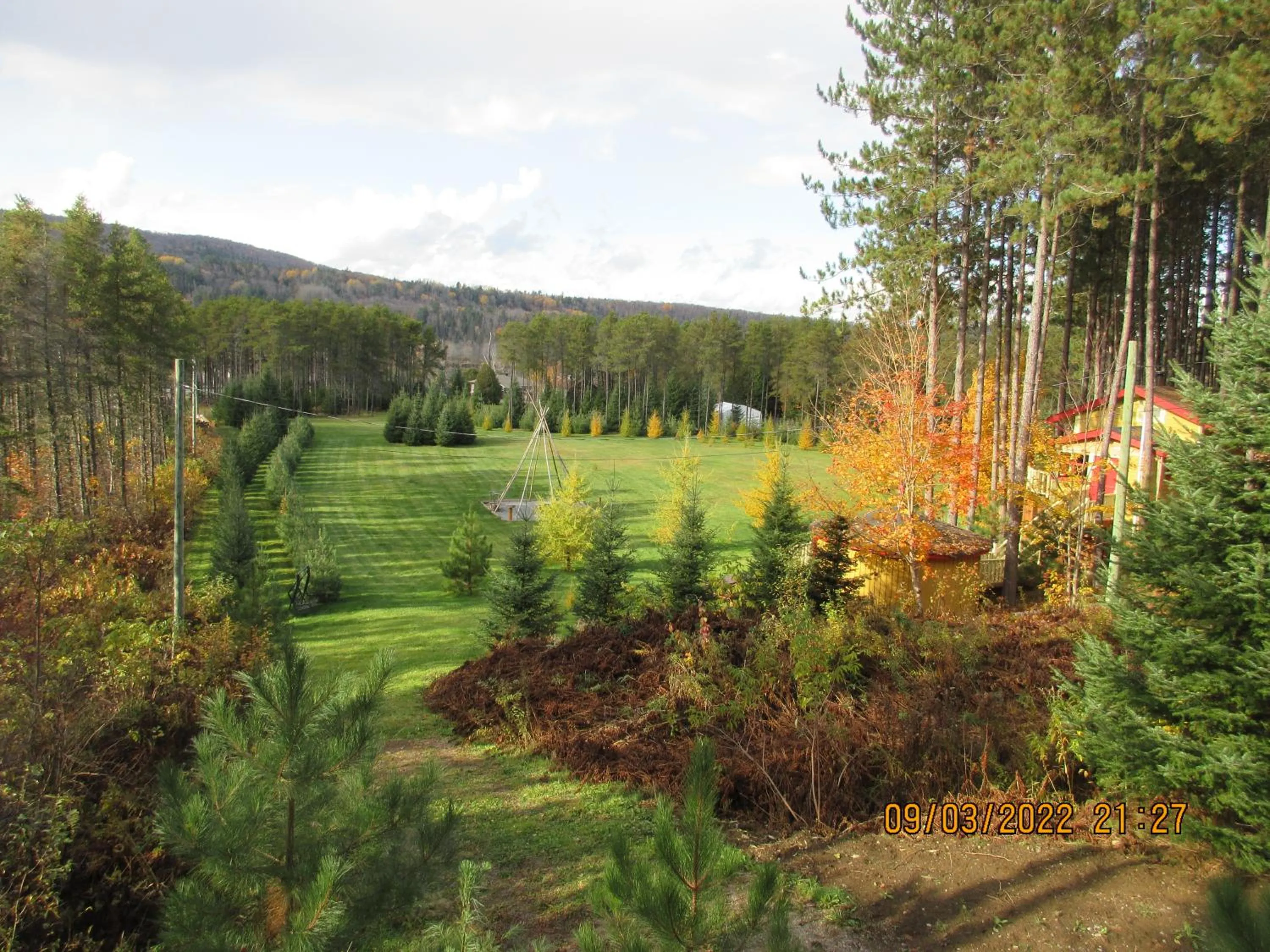 La maison sous les arbres