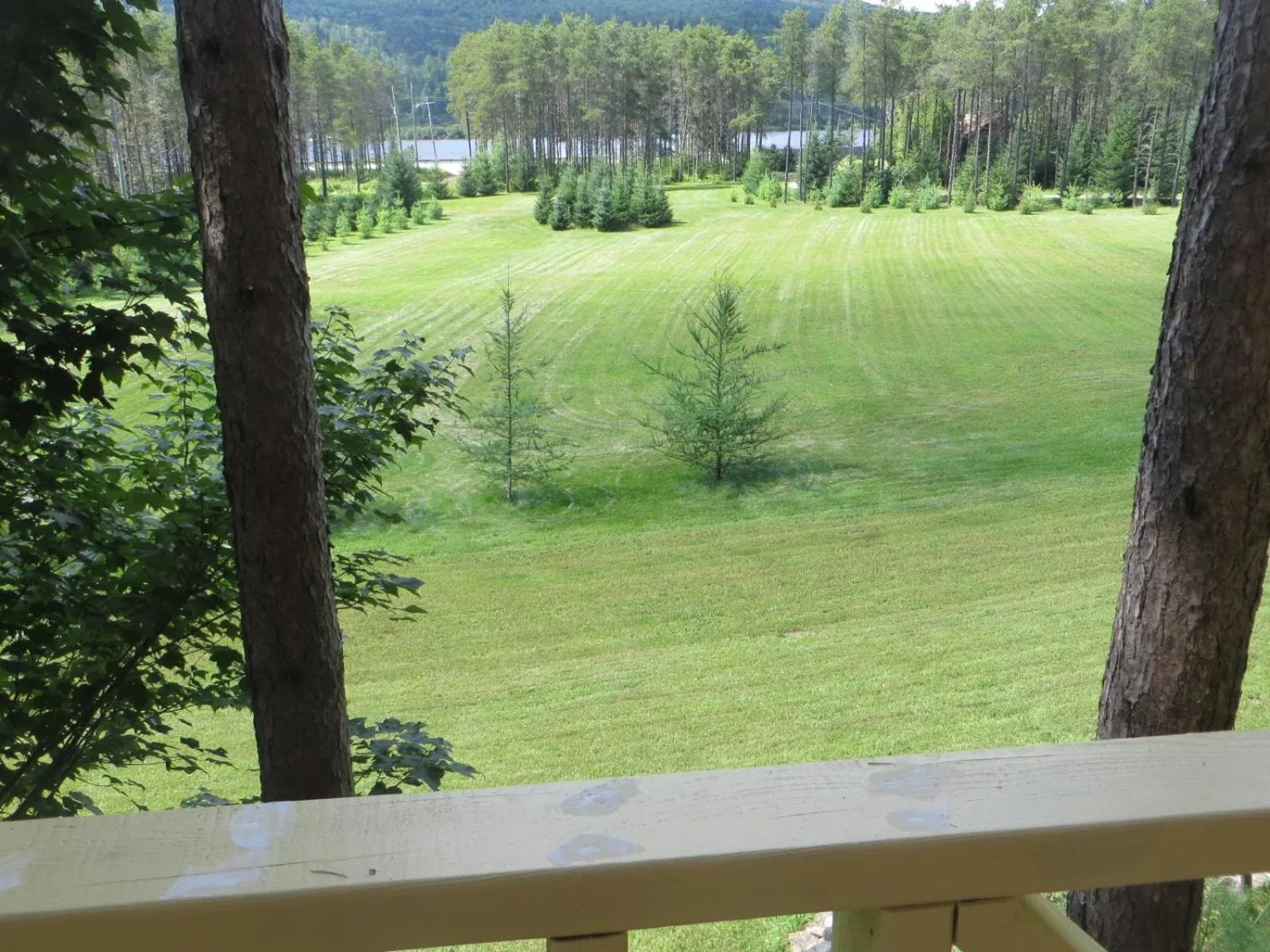 La maison sous les arbres