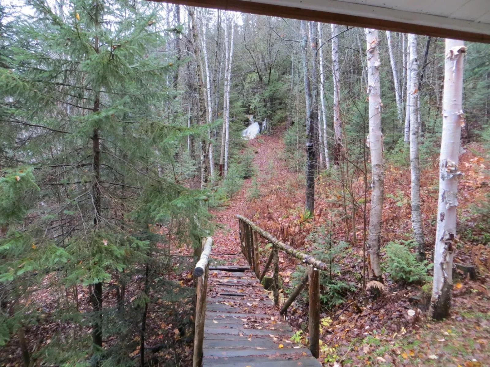 Natural landscape in La maison sous les arbres