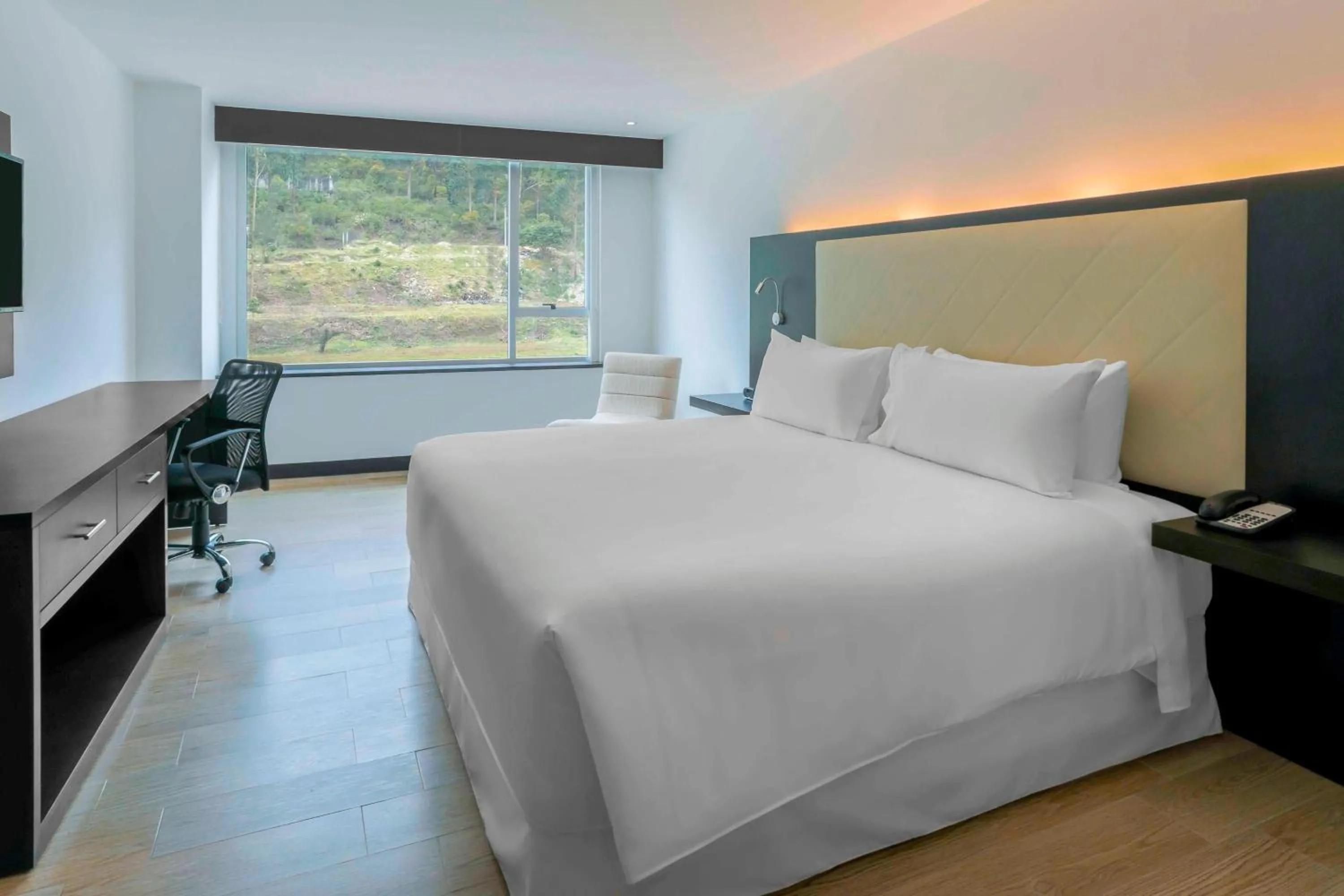 Photo of the whole room, Bed in Four Points by Sheraton Cuenca