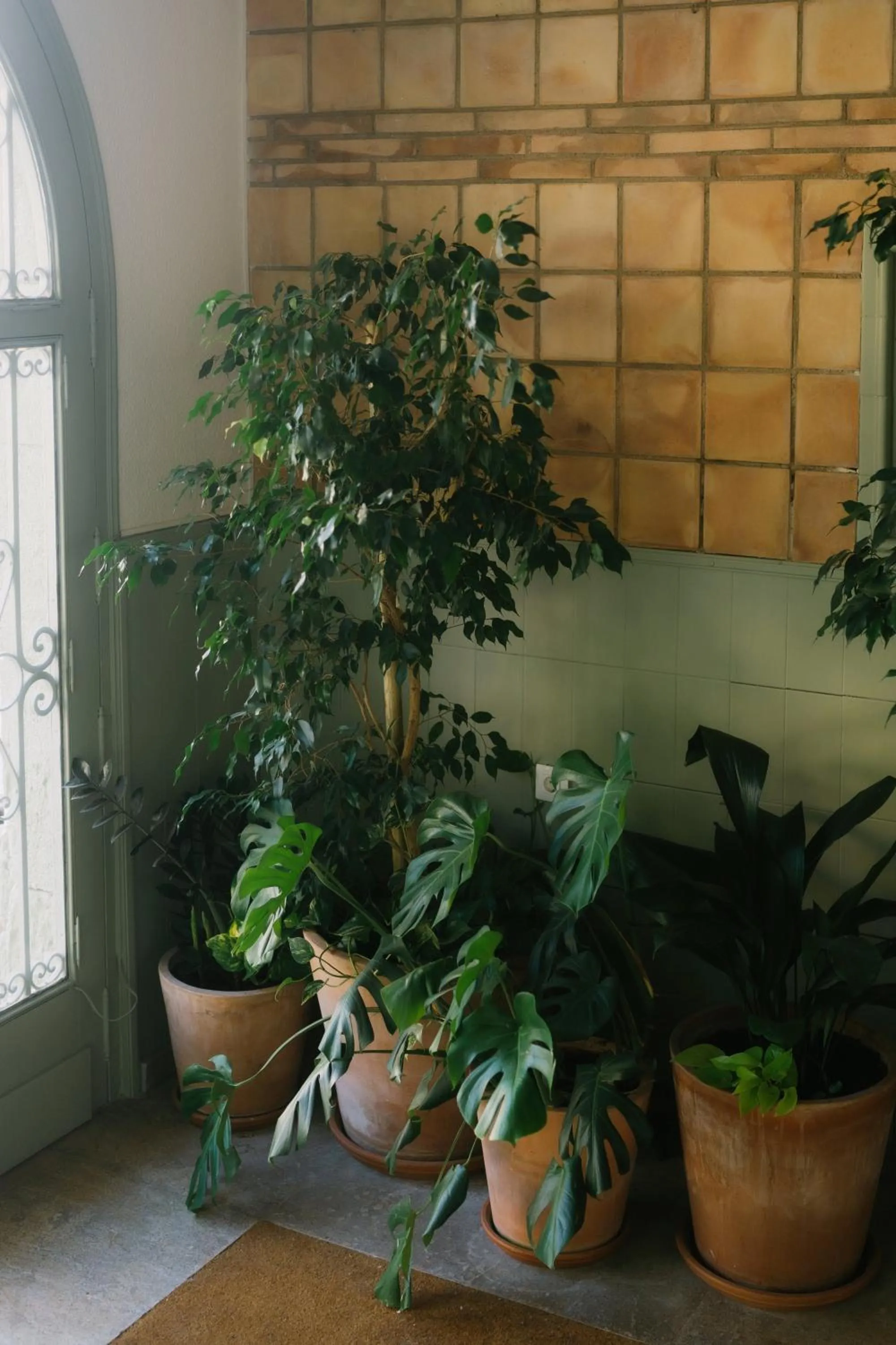 Property building in Hotel Can Solé